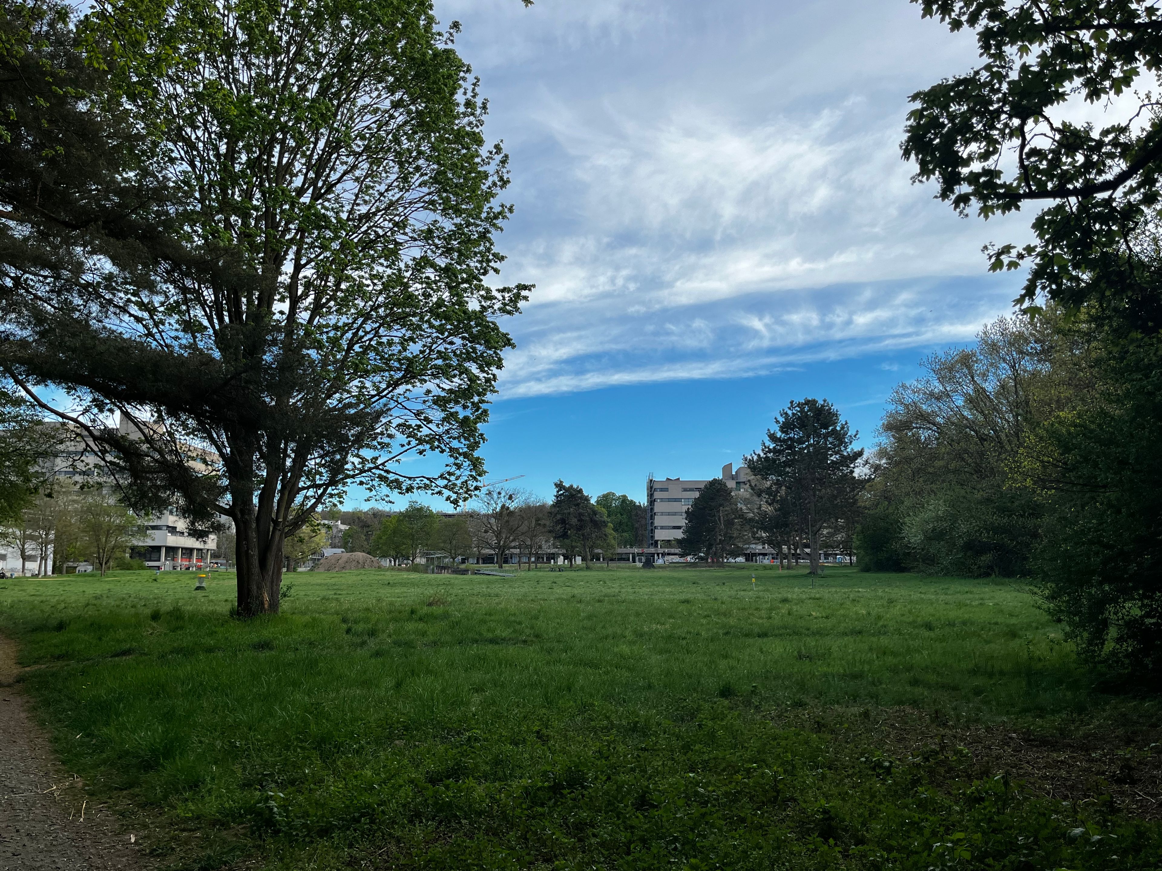 image-21