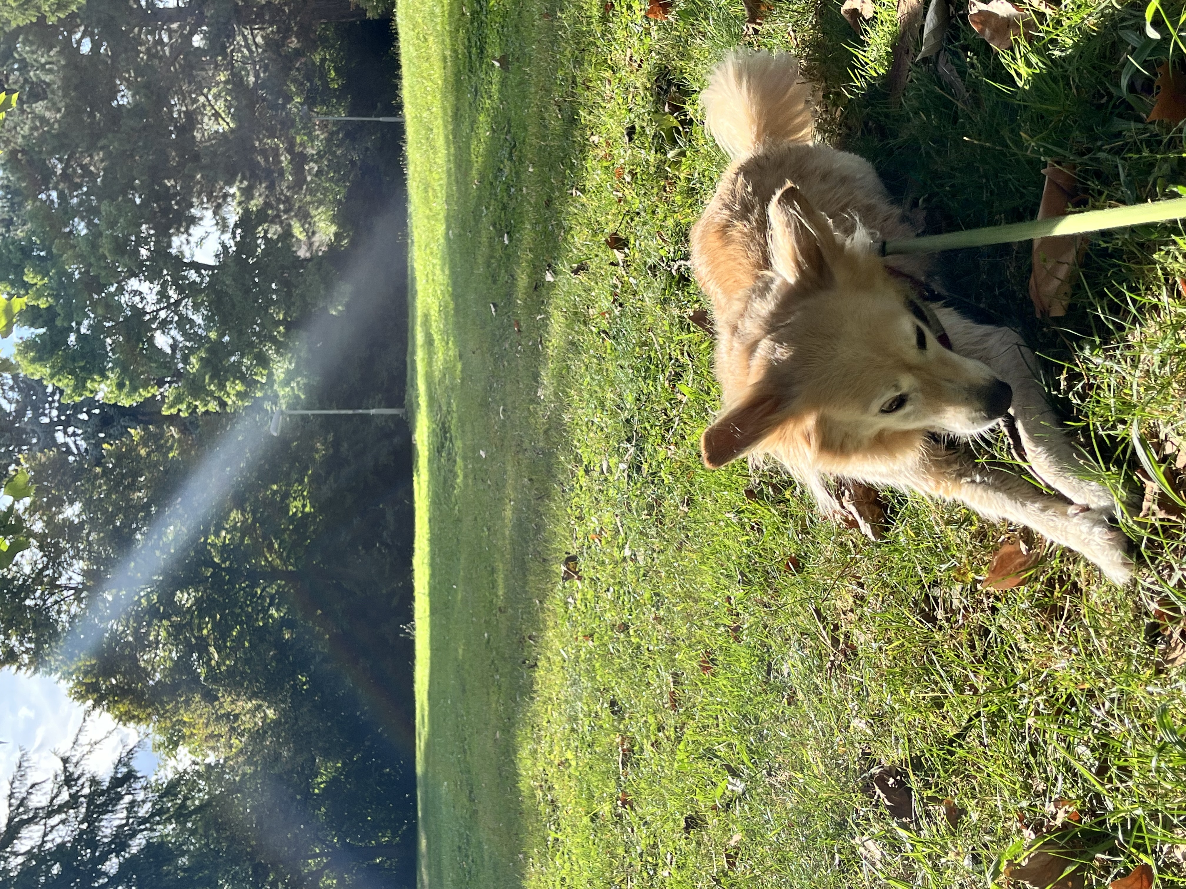 image-6