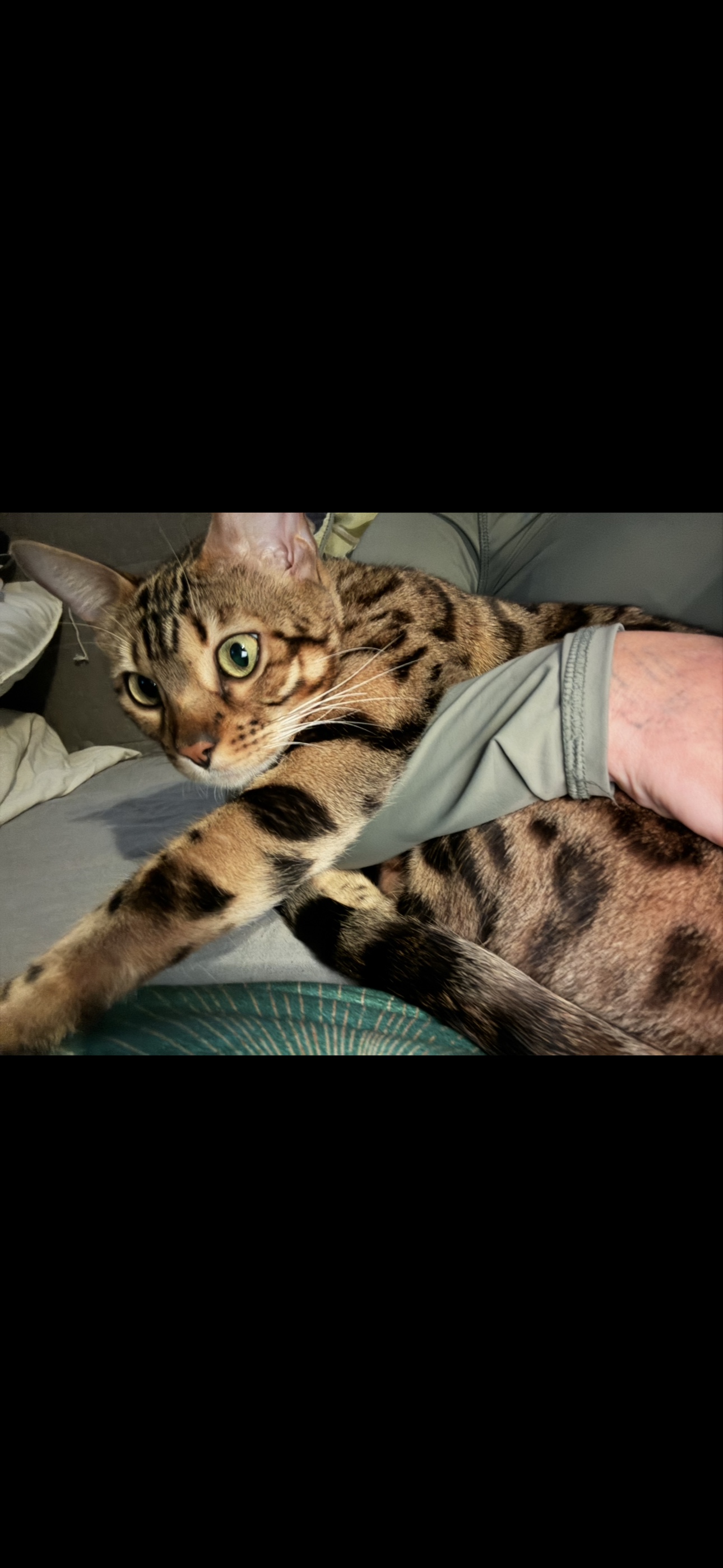image-16