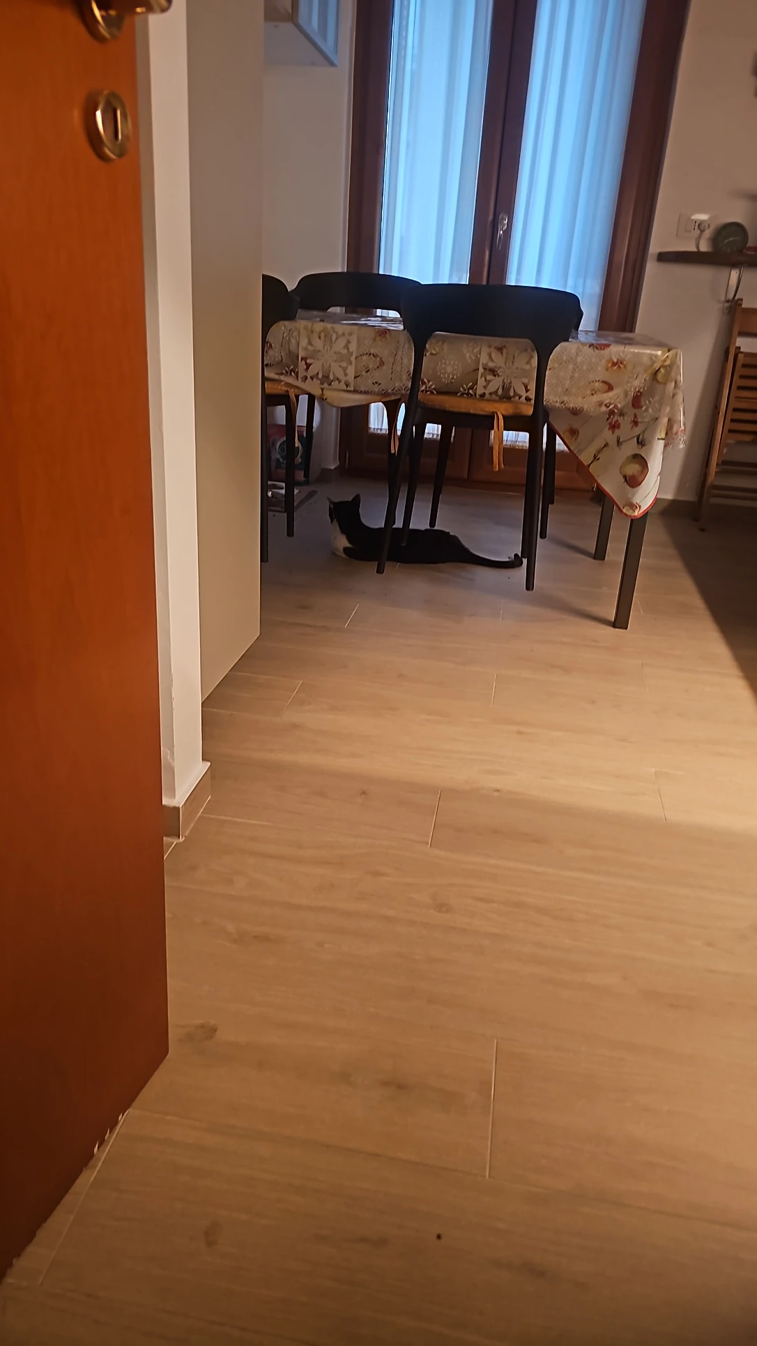 image-19