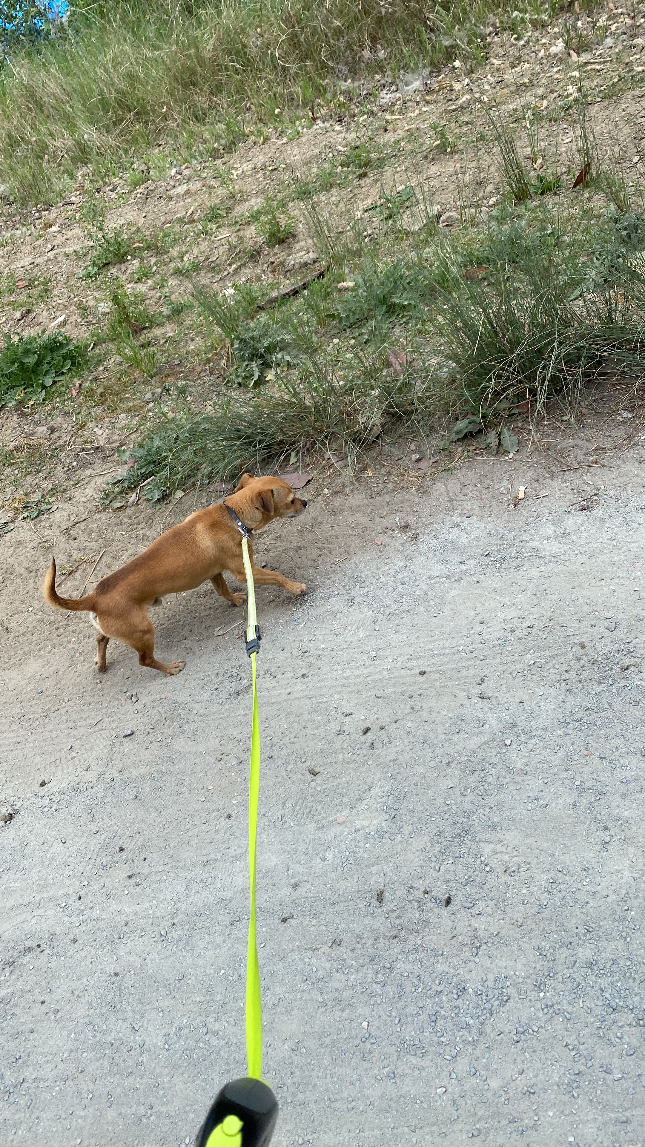 image-8
