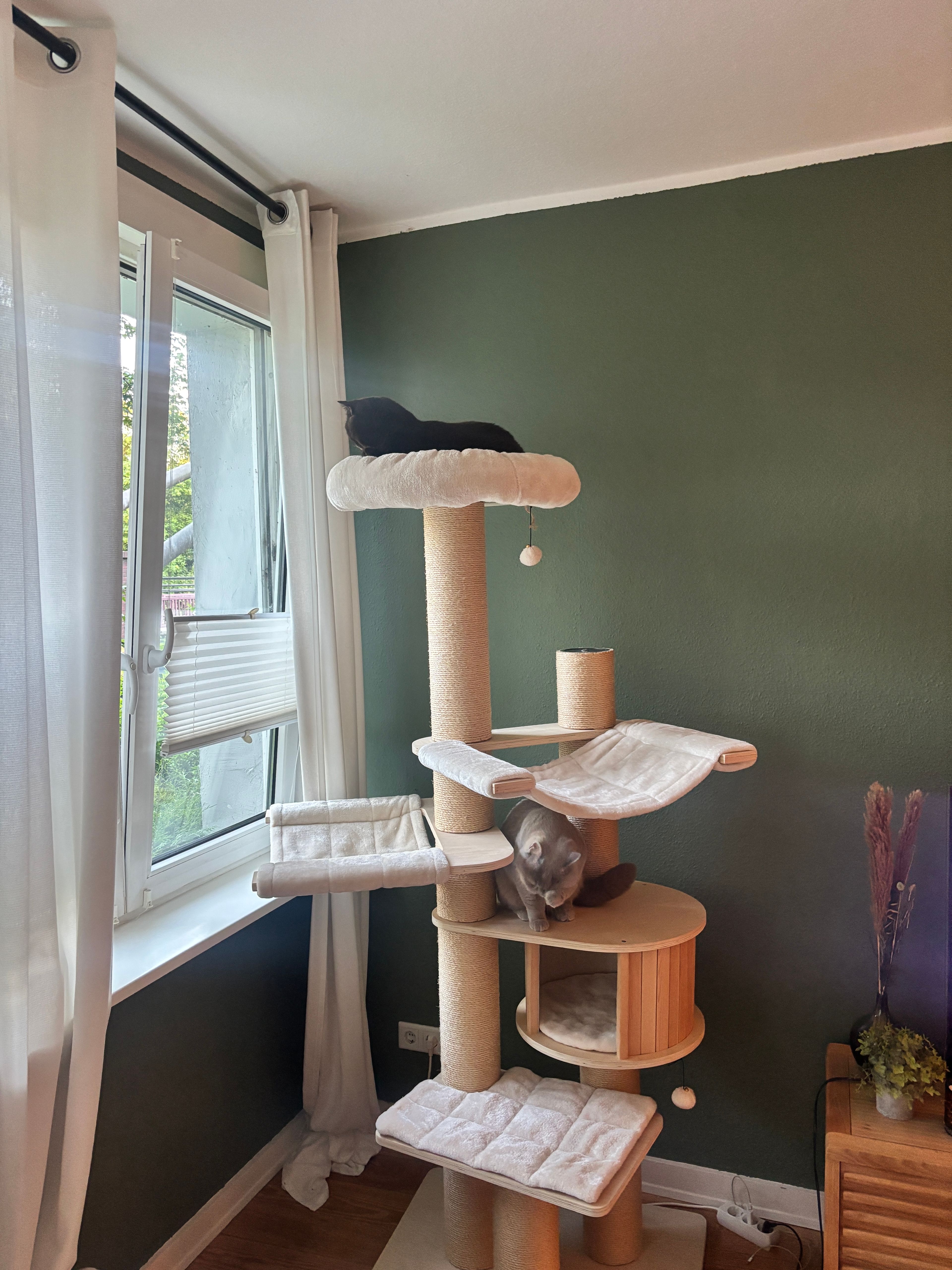 image-10