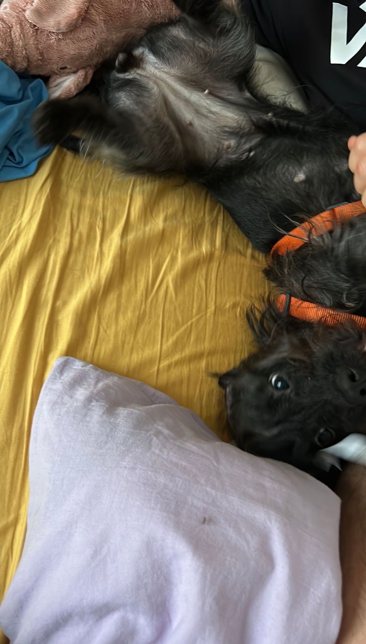 image-8