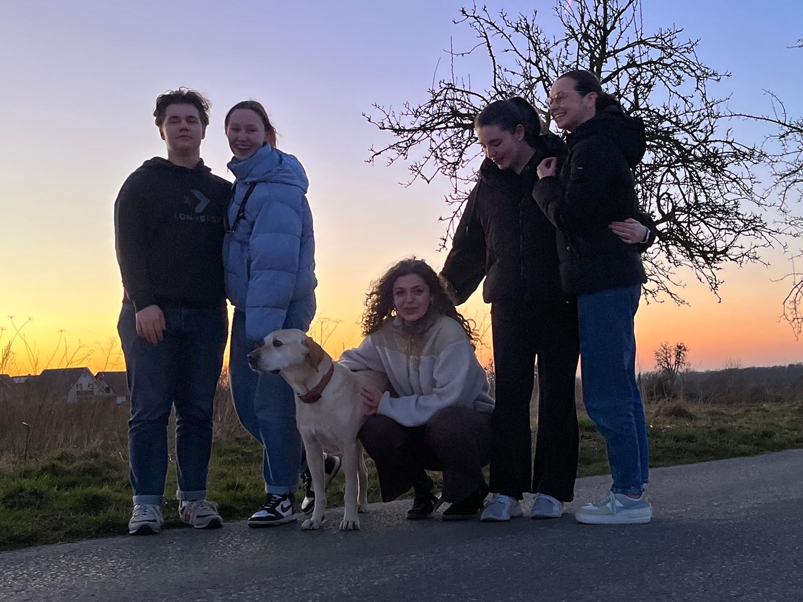 image-6