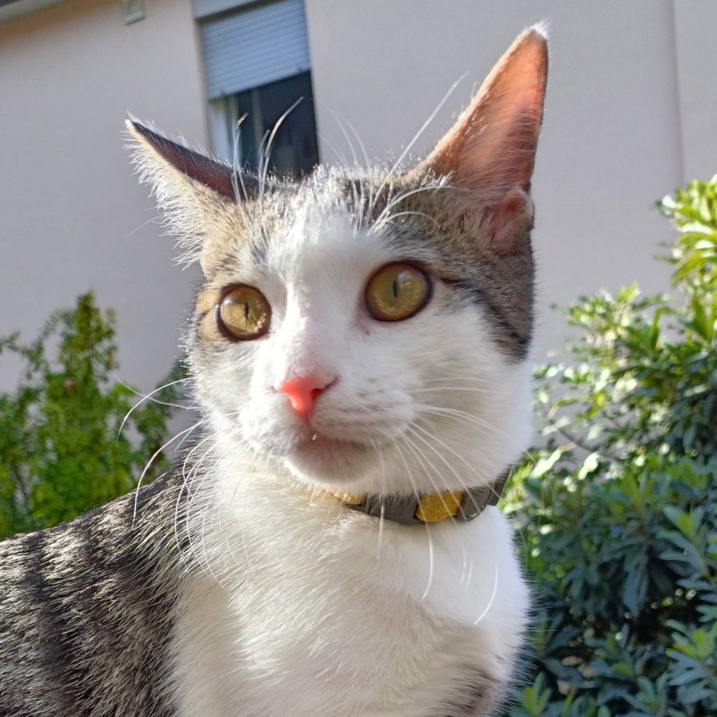 Filippo