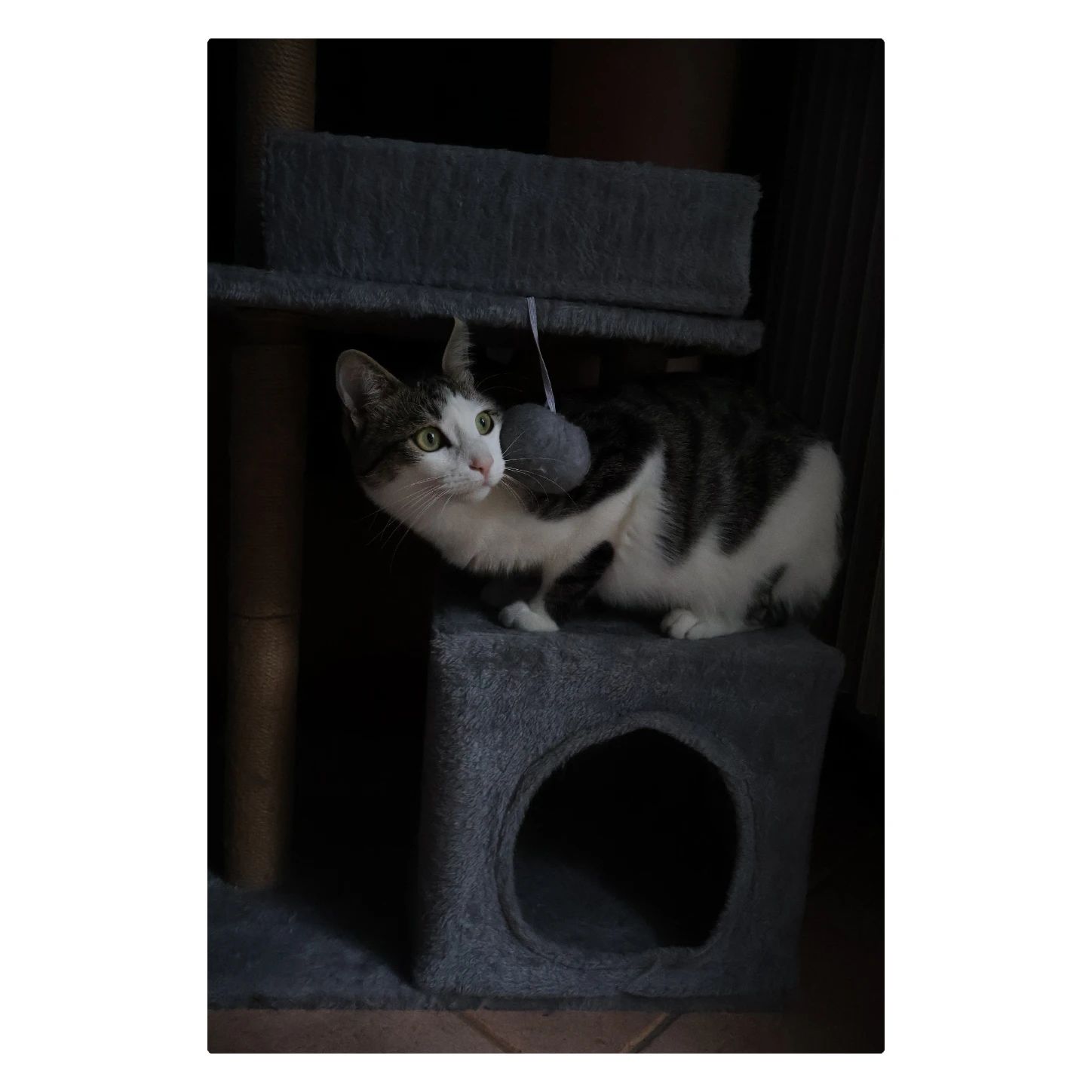 image-10