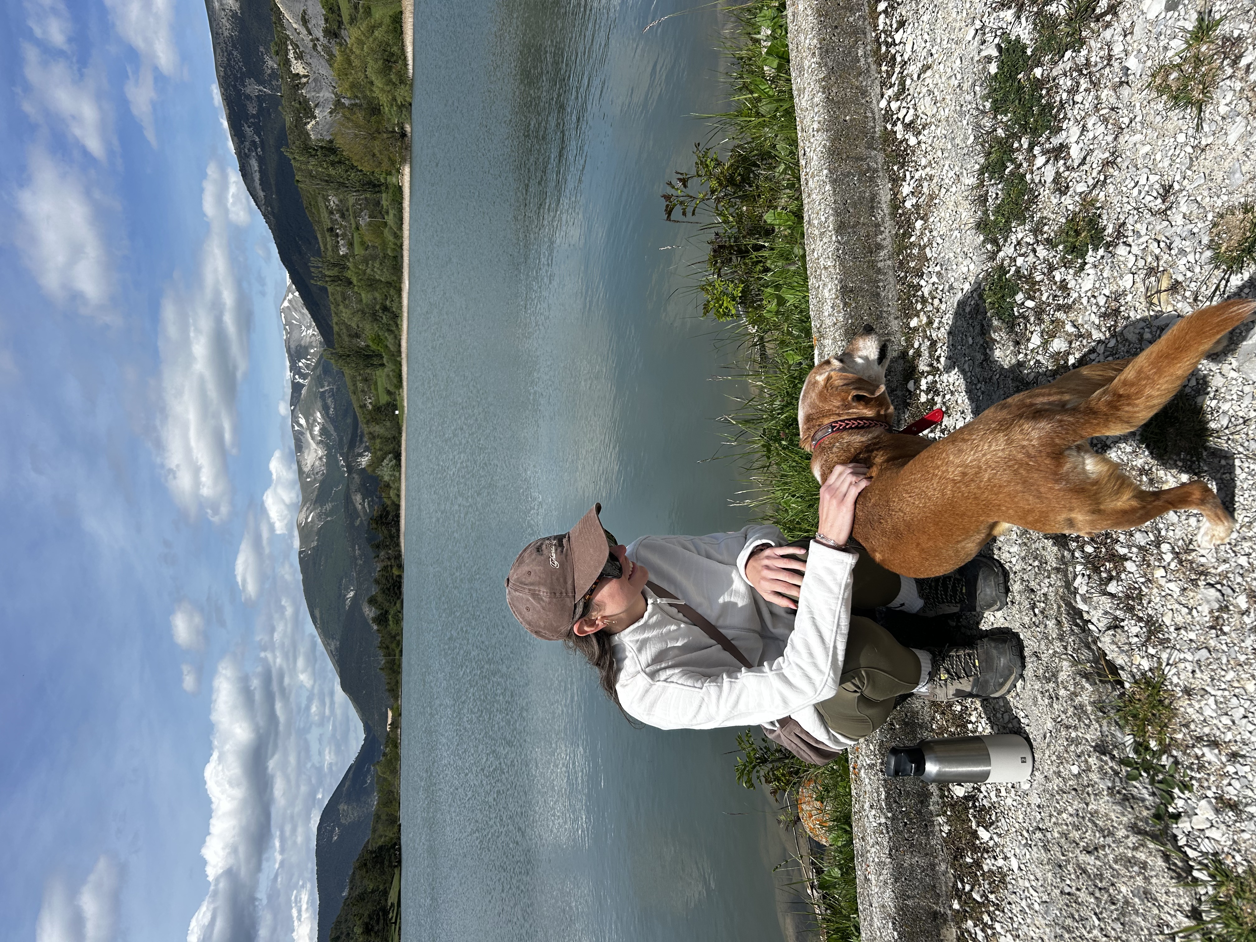 image-7