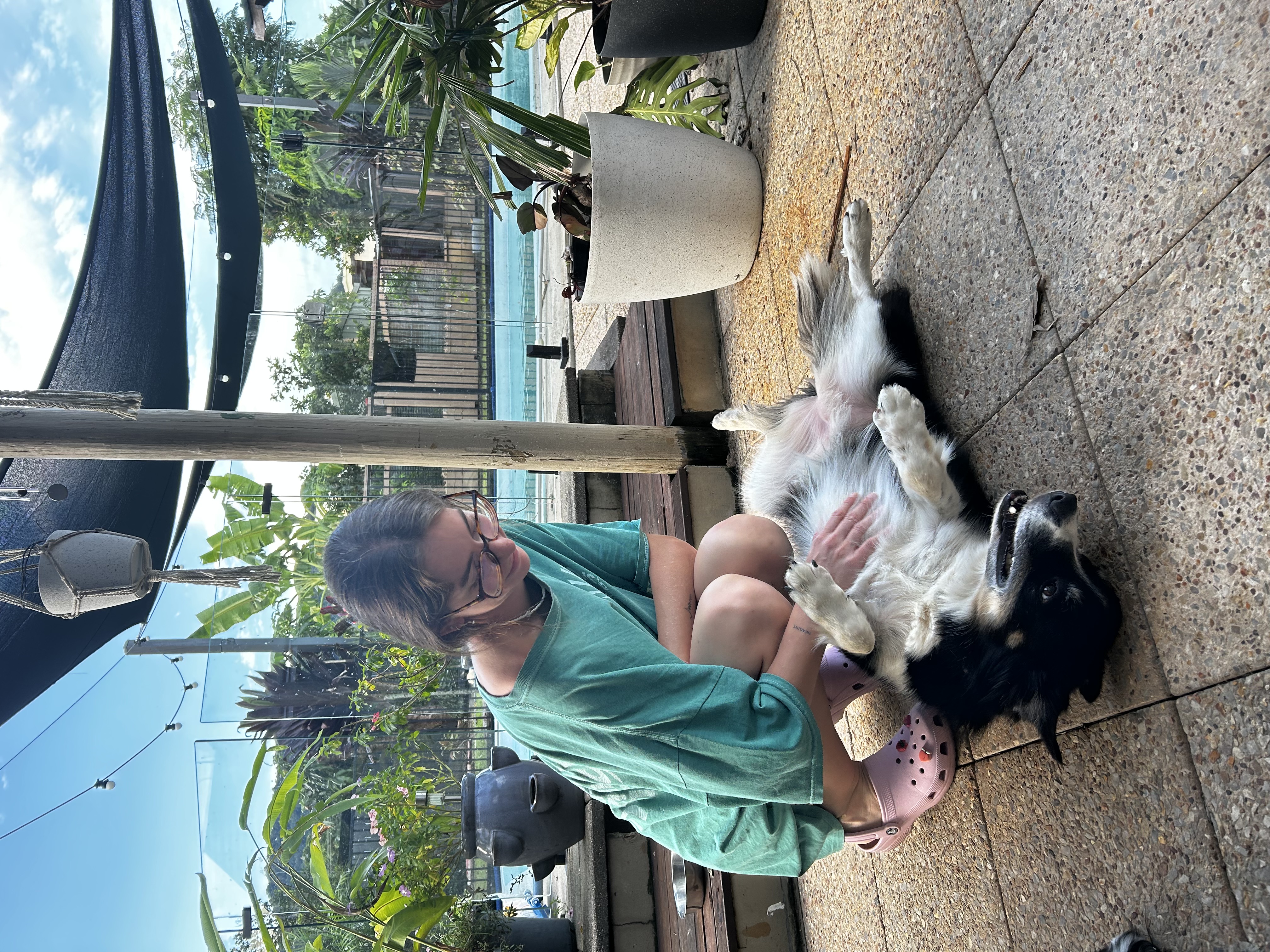 image-5