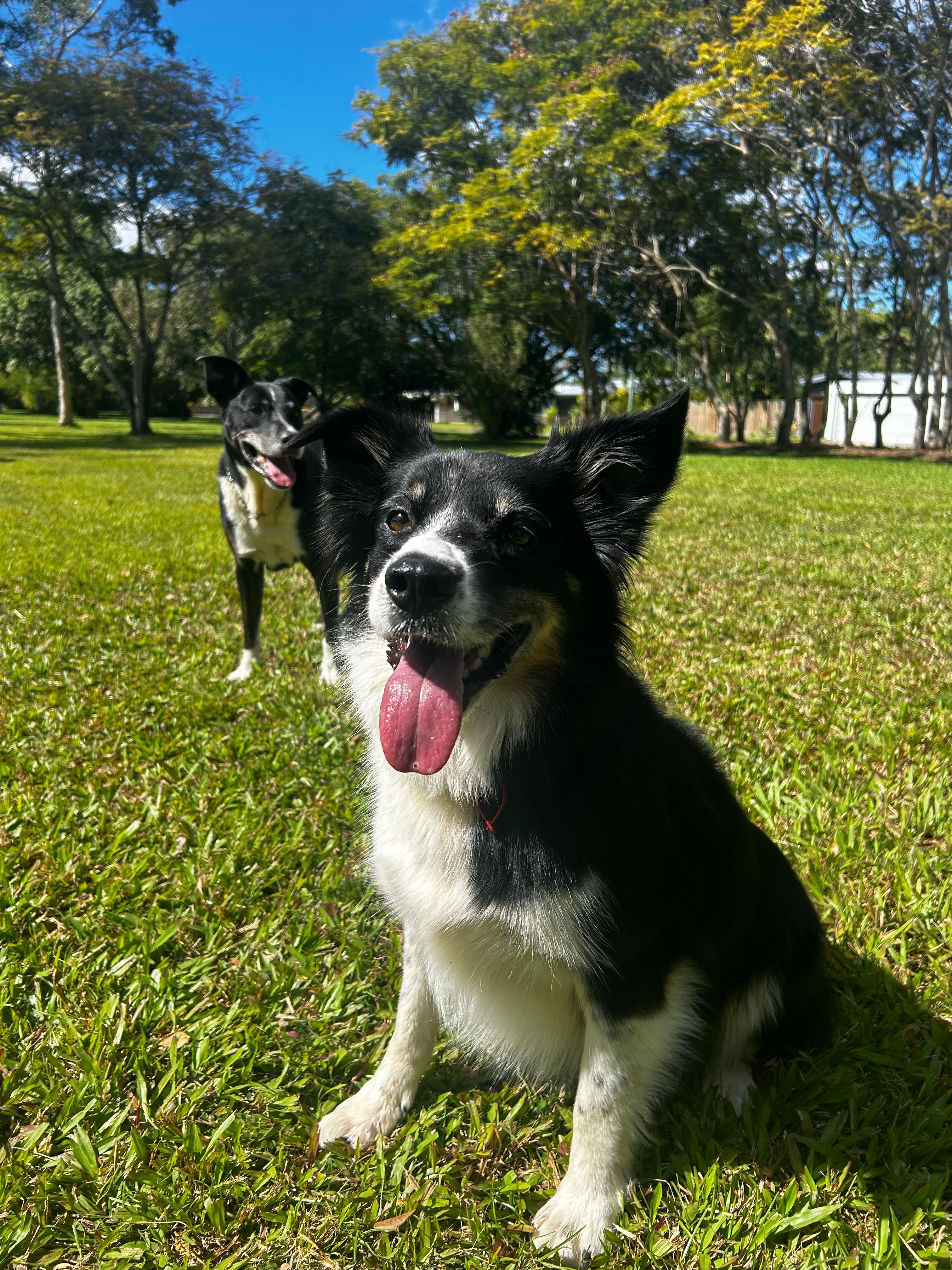 image-14