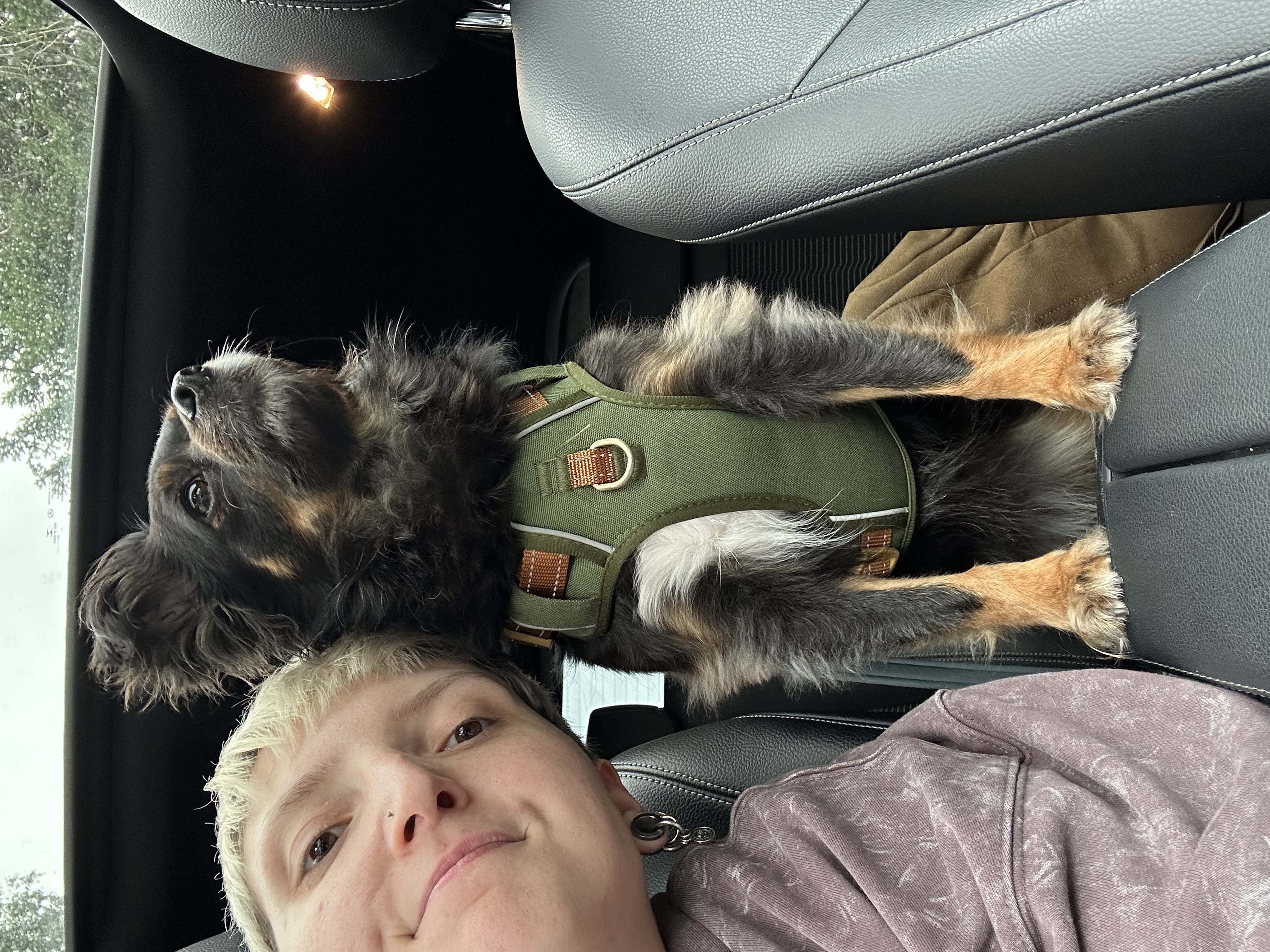 image-11
