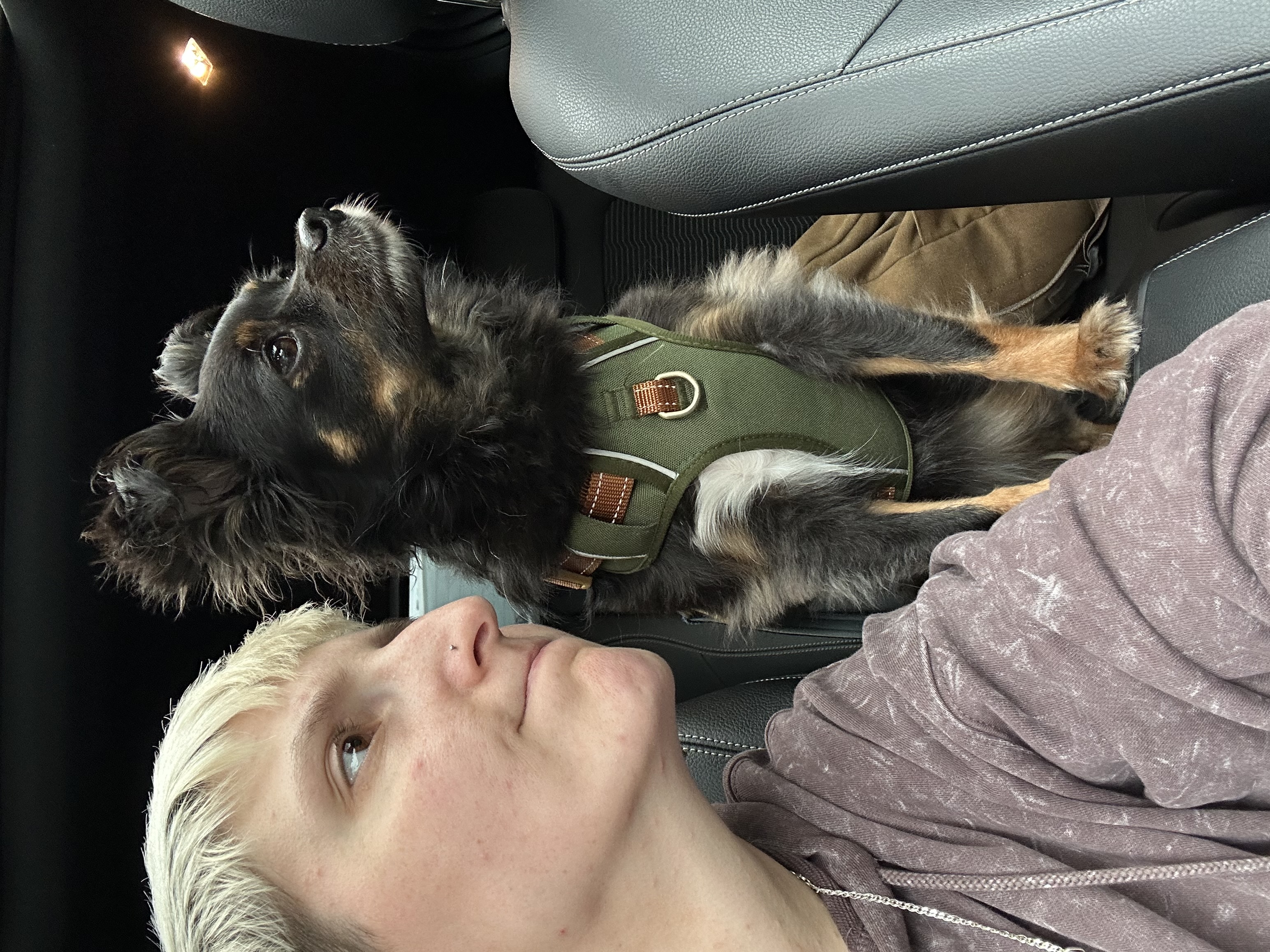 image-5