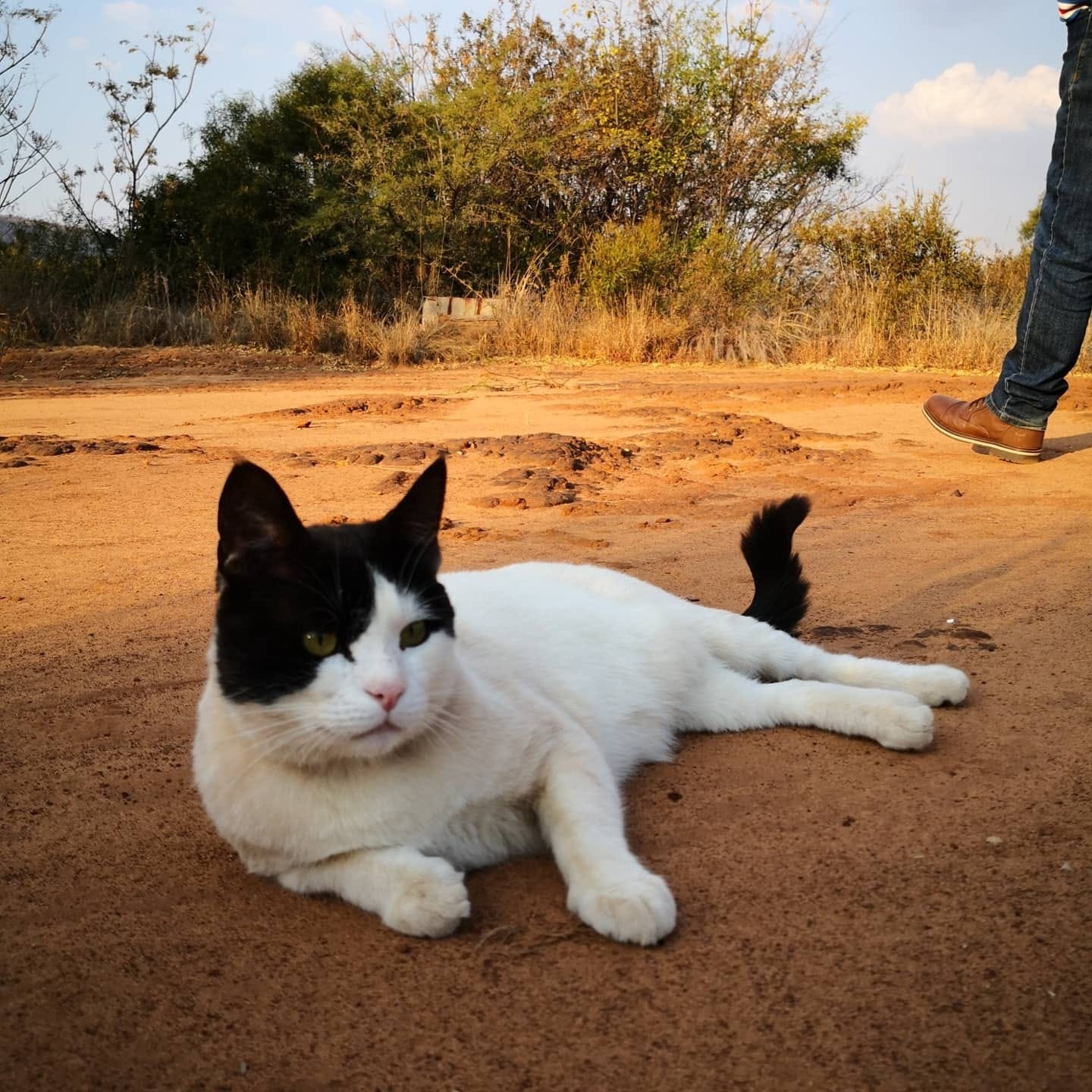 image-12