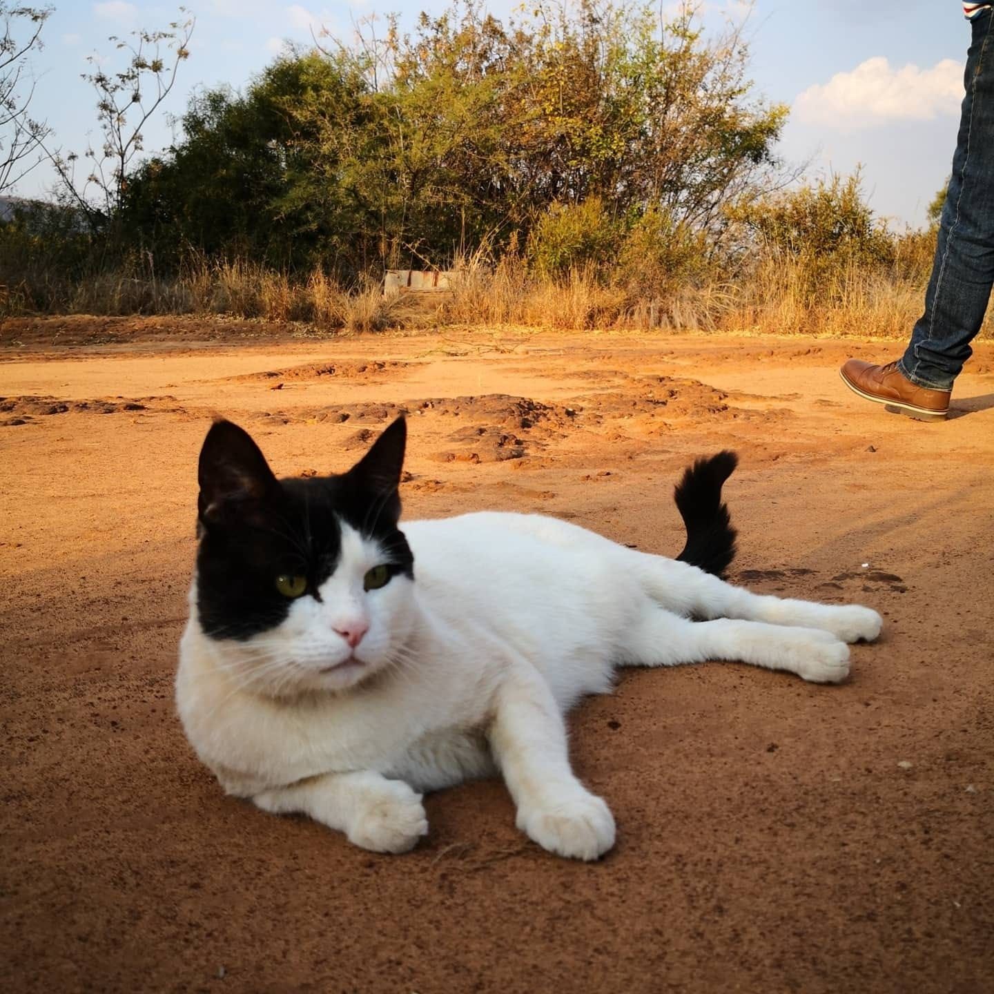 image-12