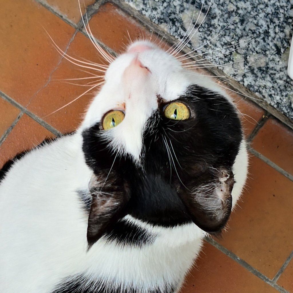 Sam
