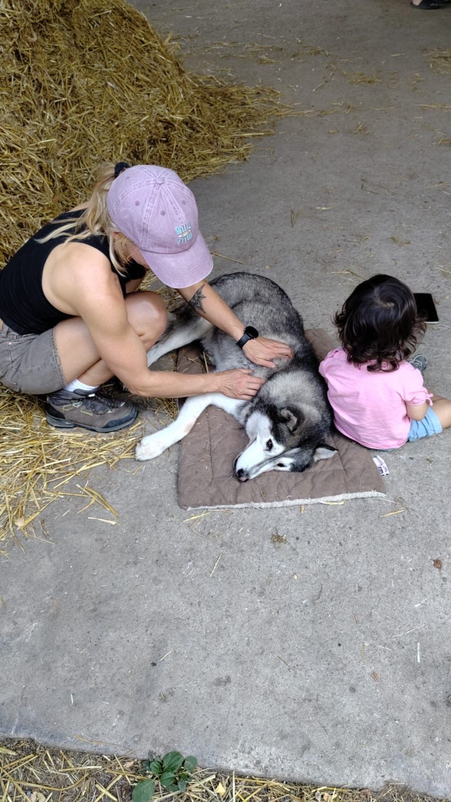 image-5