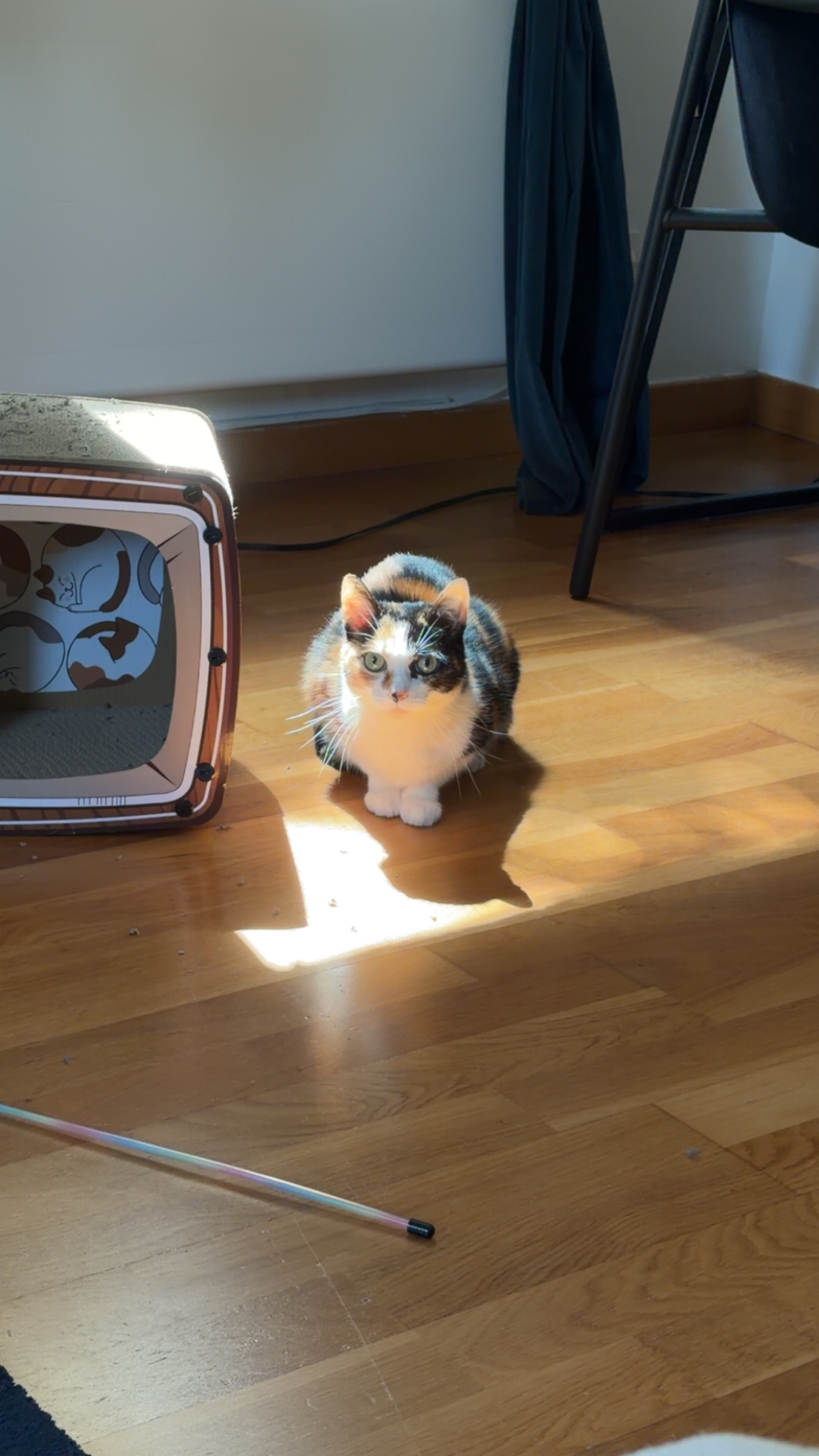 image-5