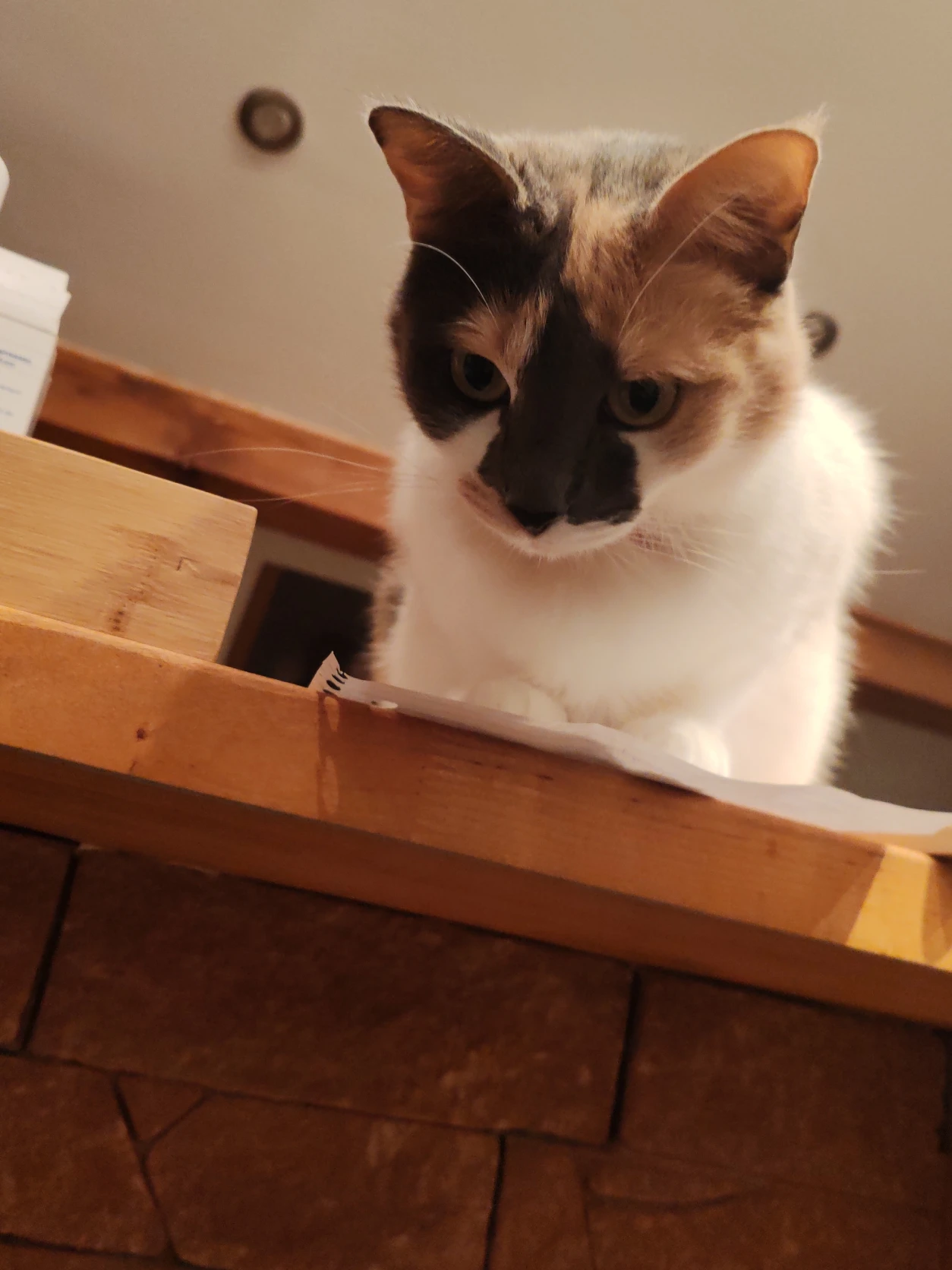 image-9
