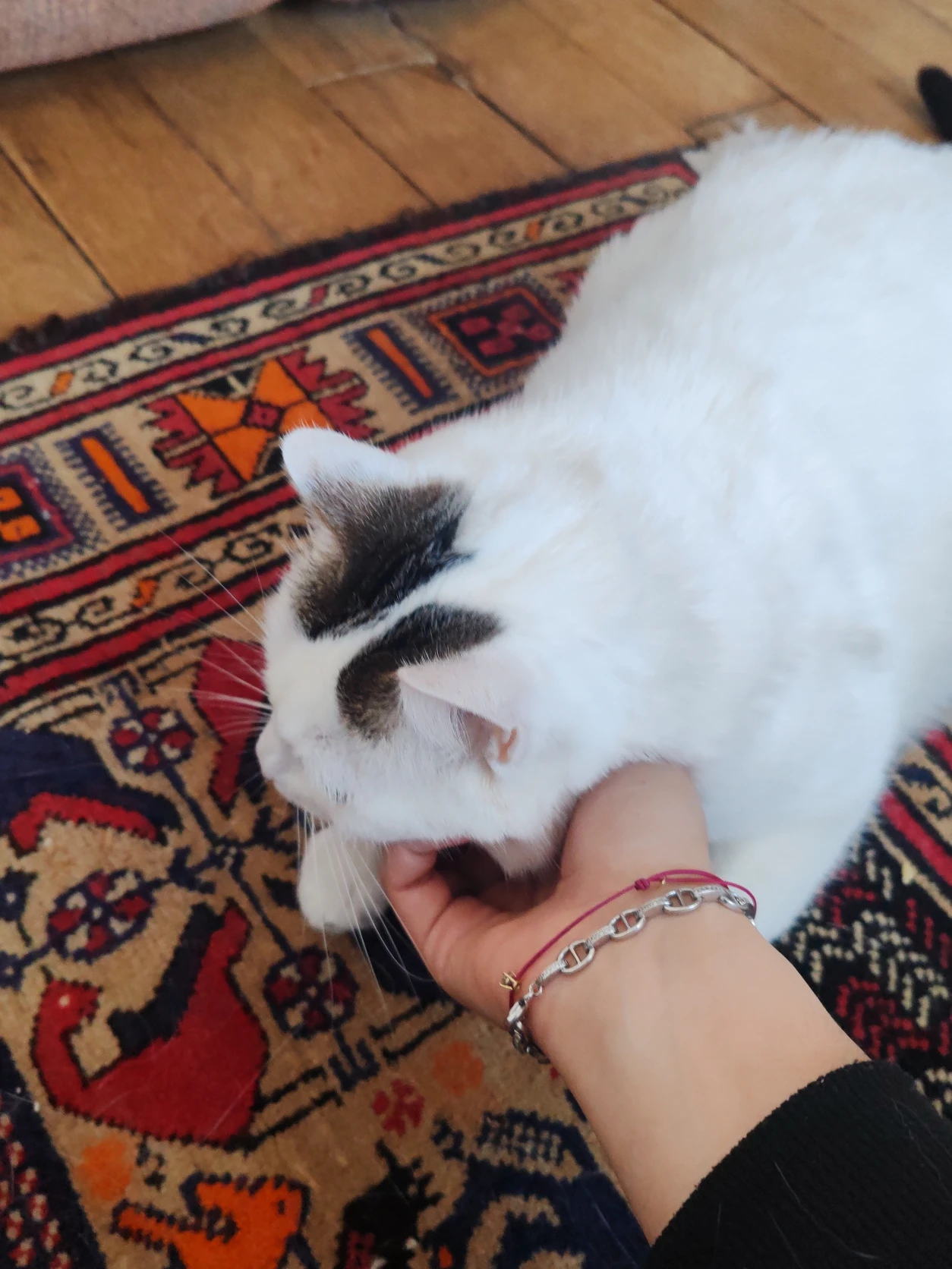 image-8