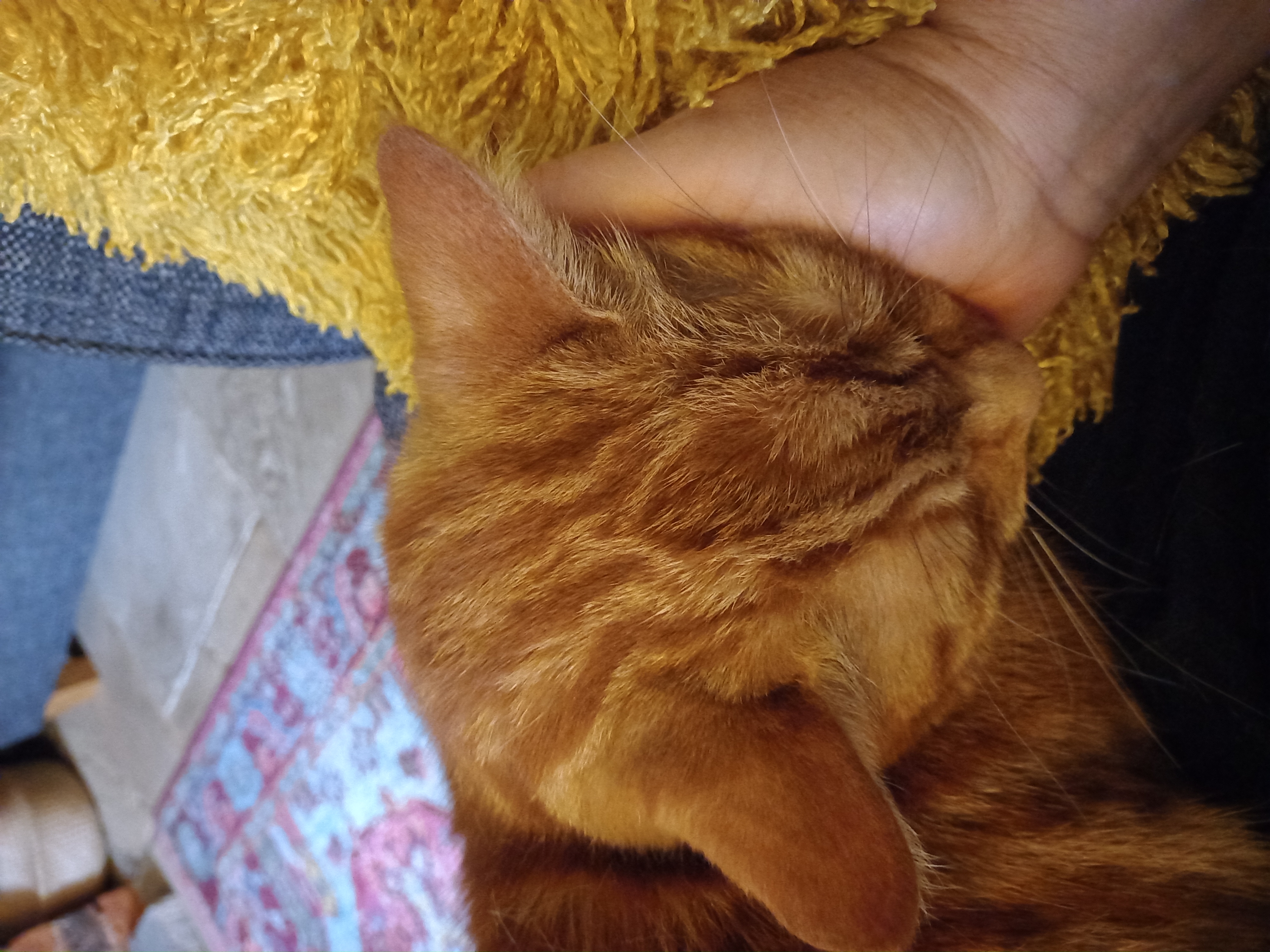 image-6