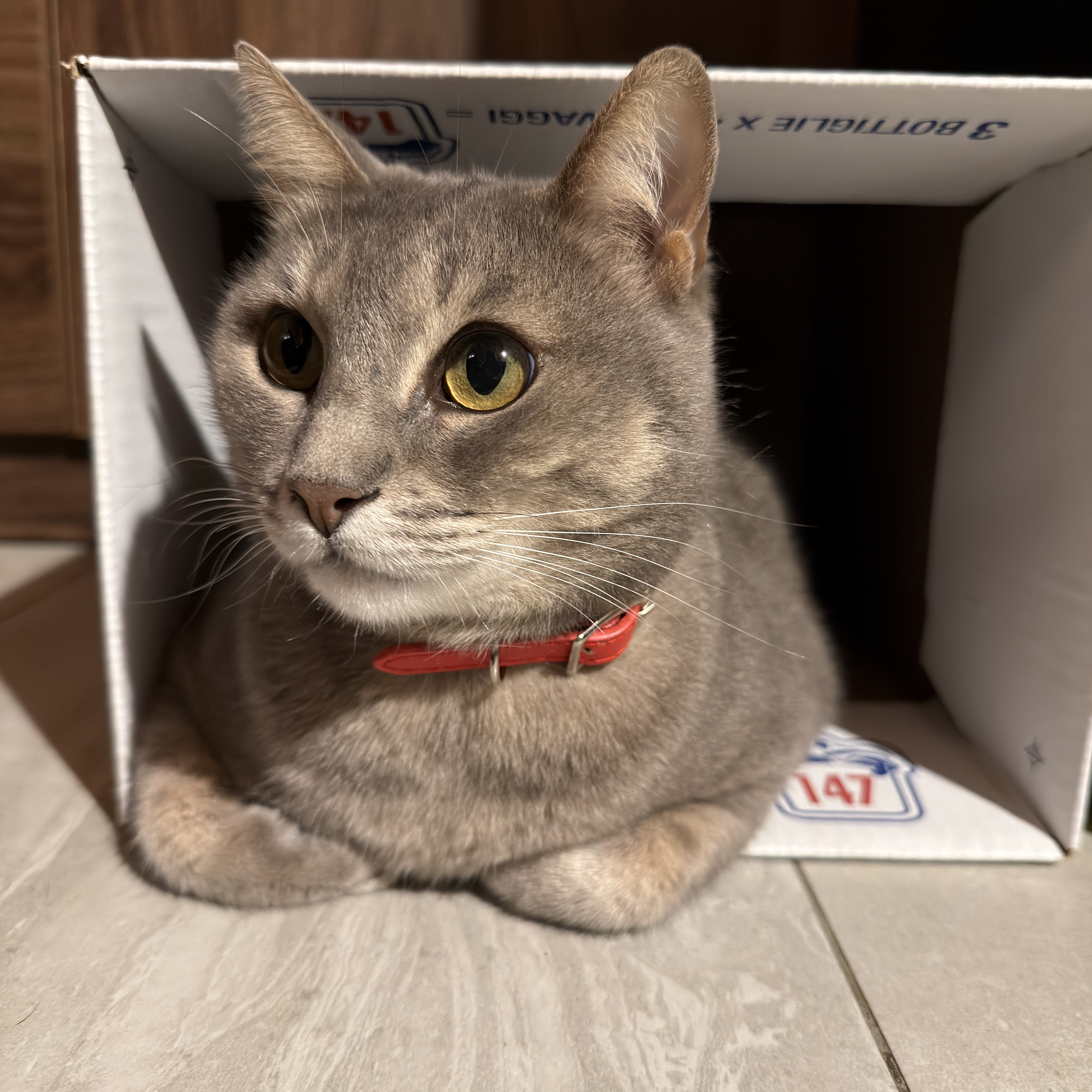 Mia