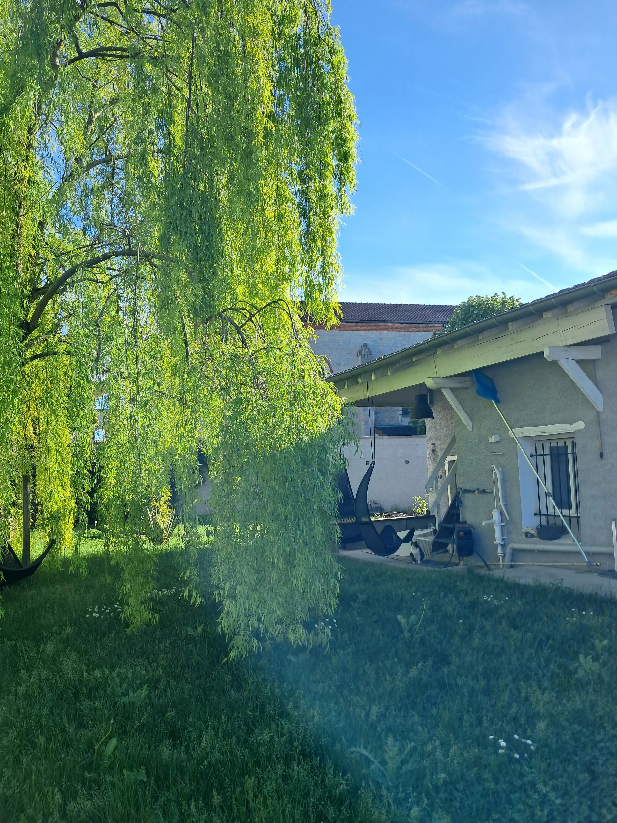 image-14