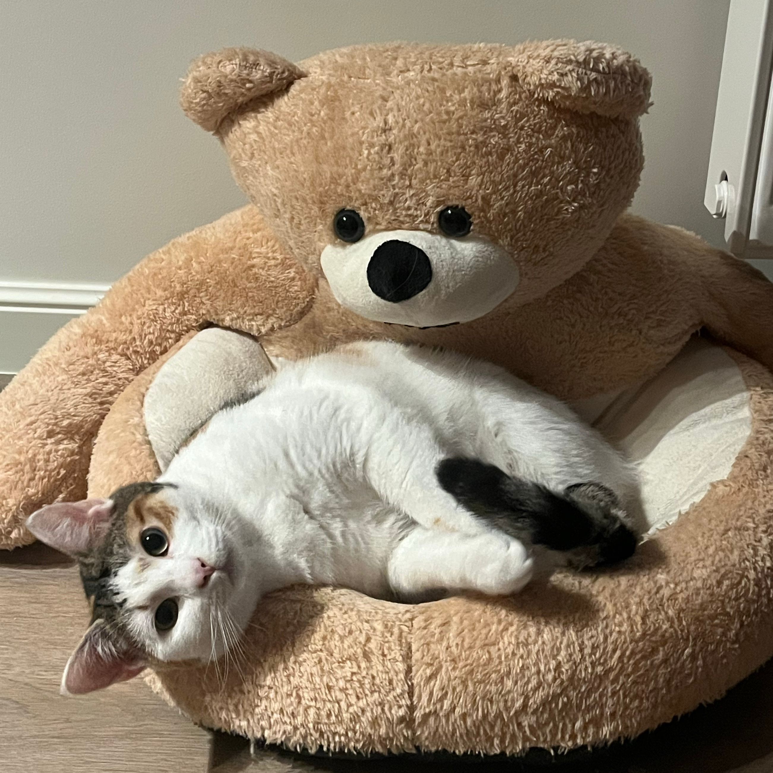 Minnie