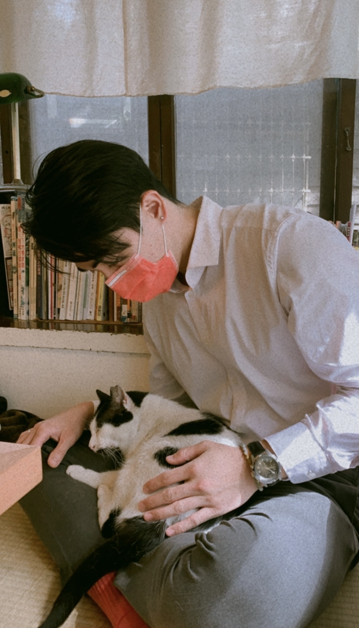 image-6