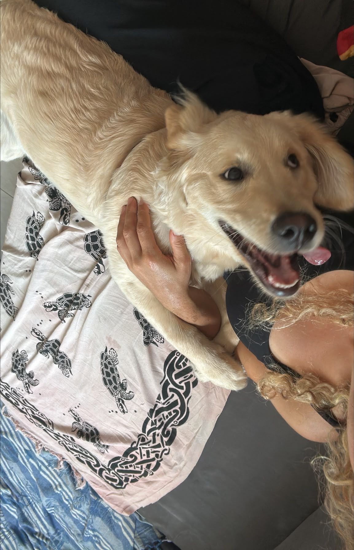image-6