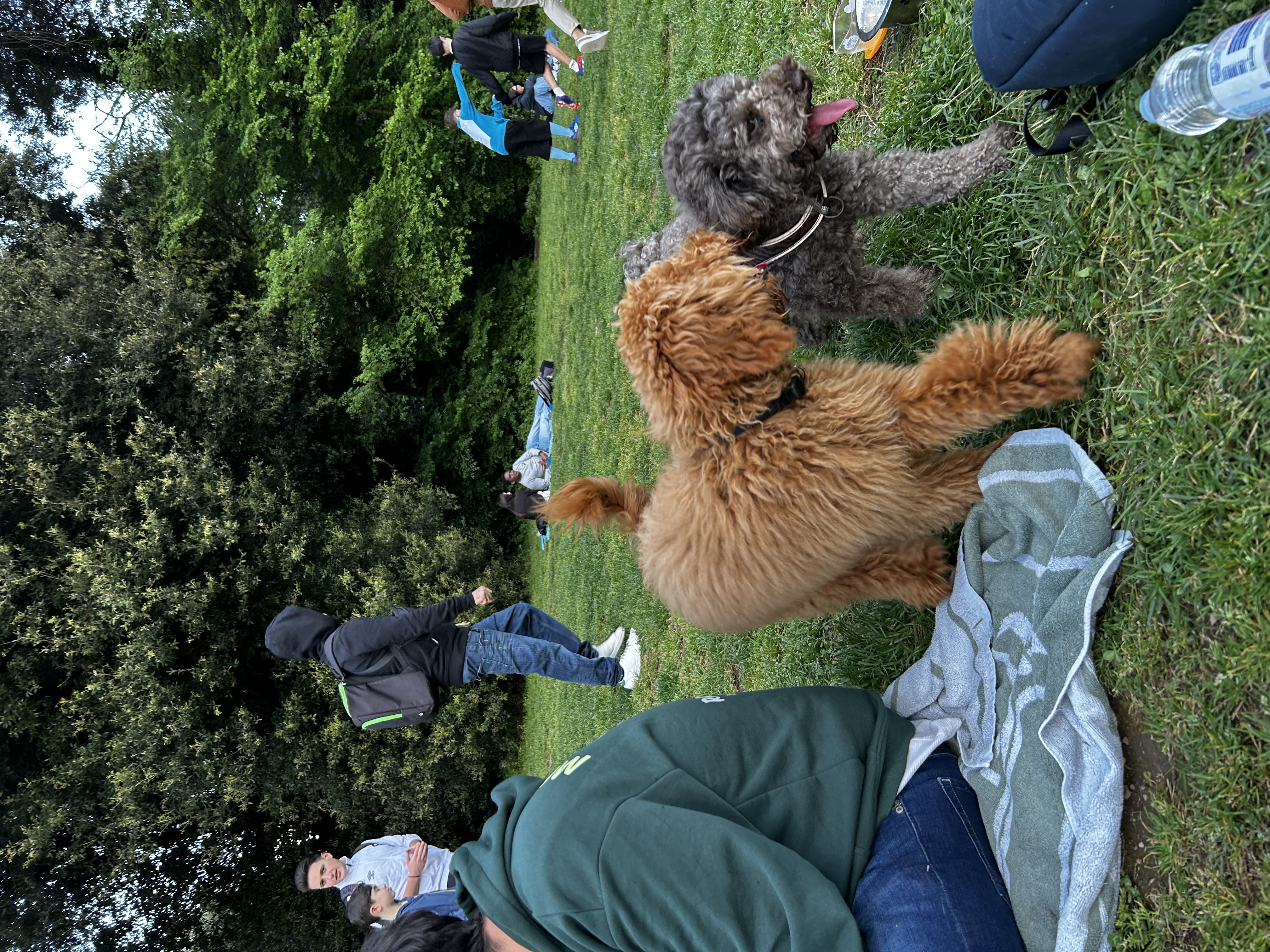 image-10