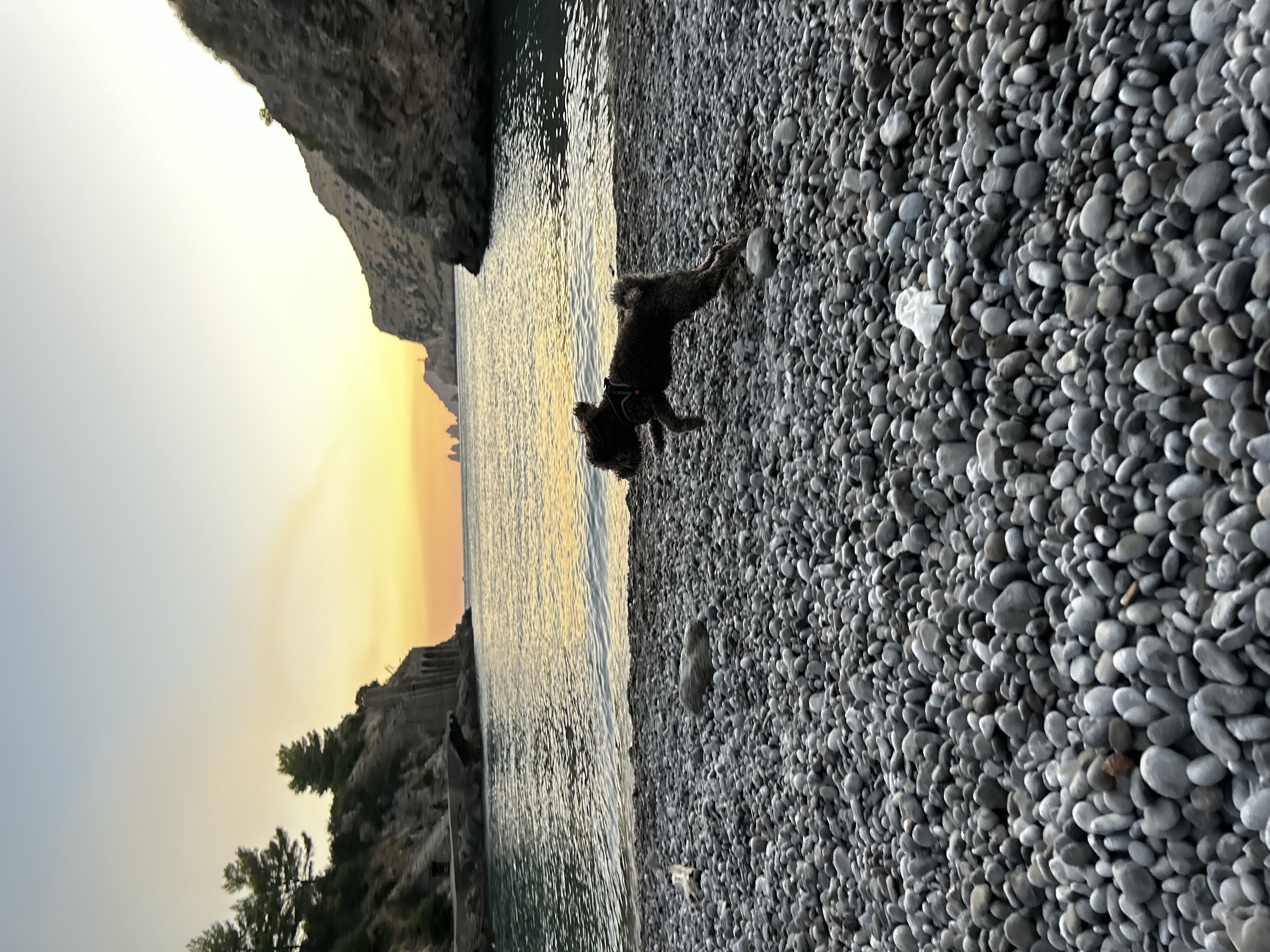 image-13