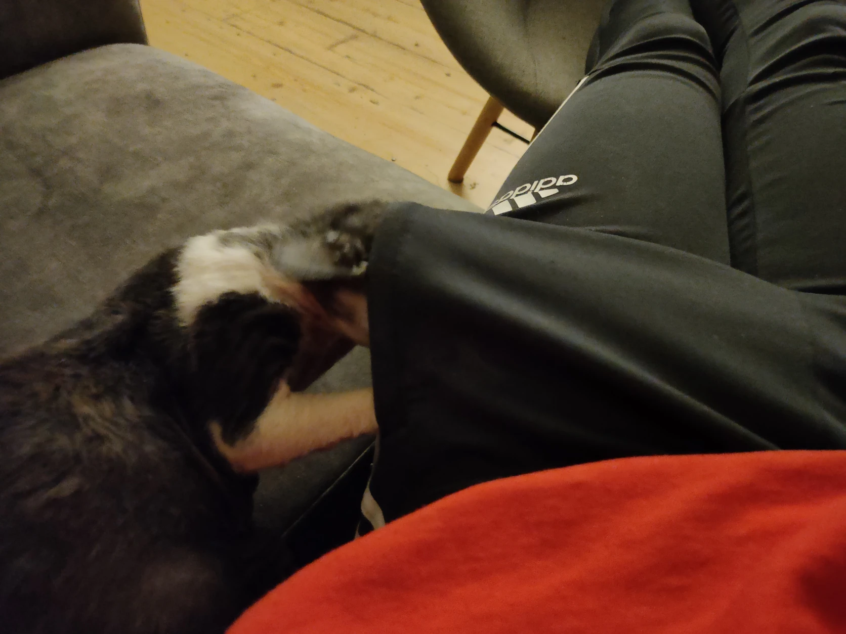 image-9