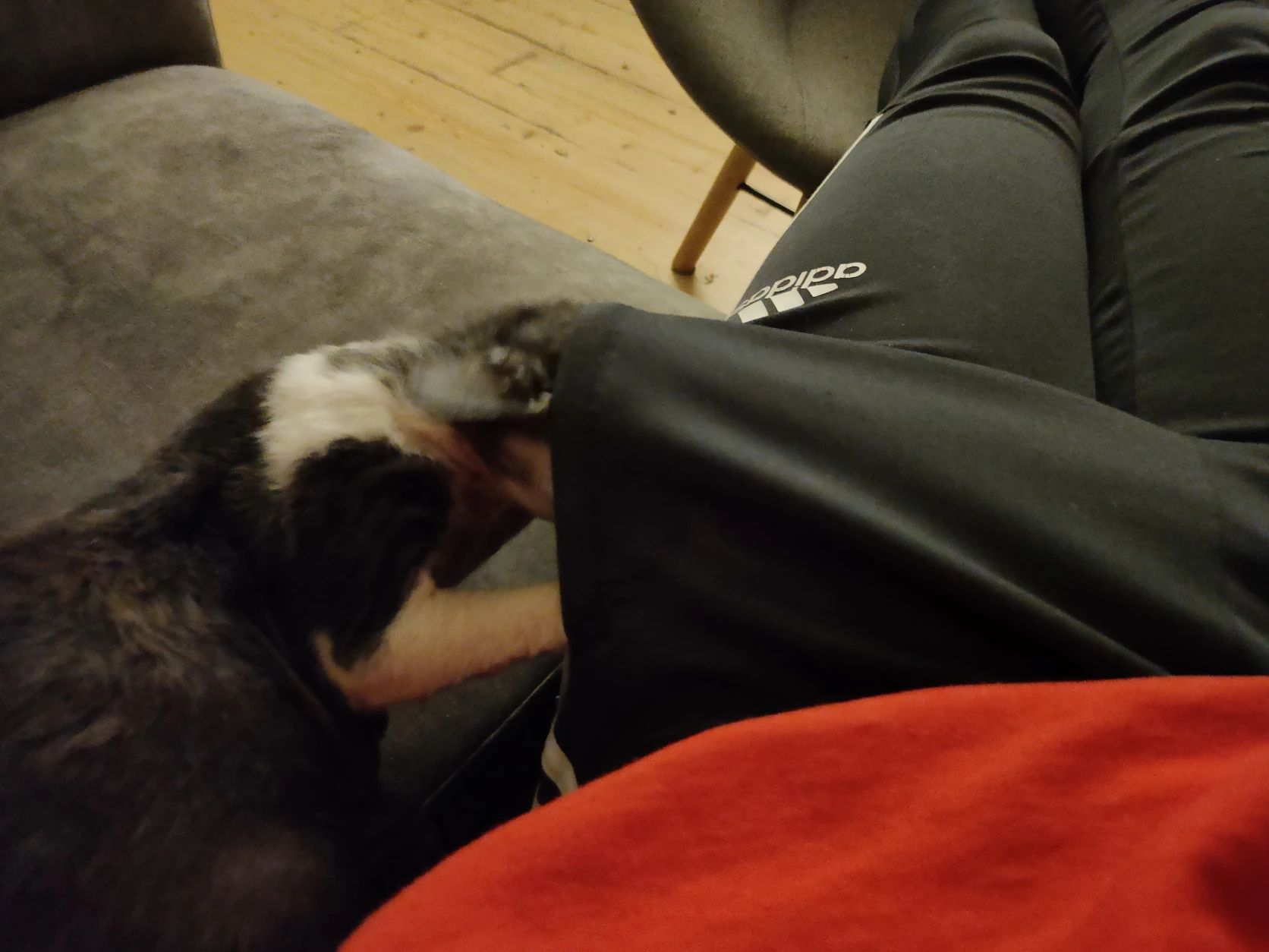 image-9