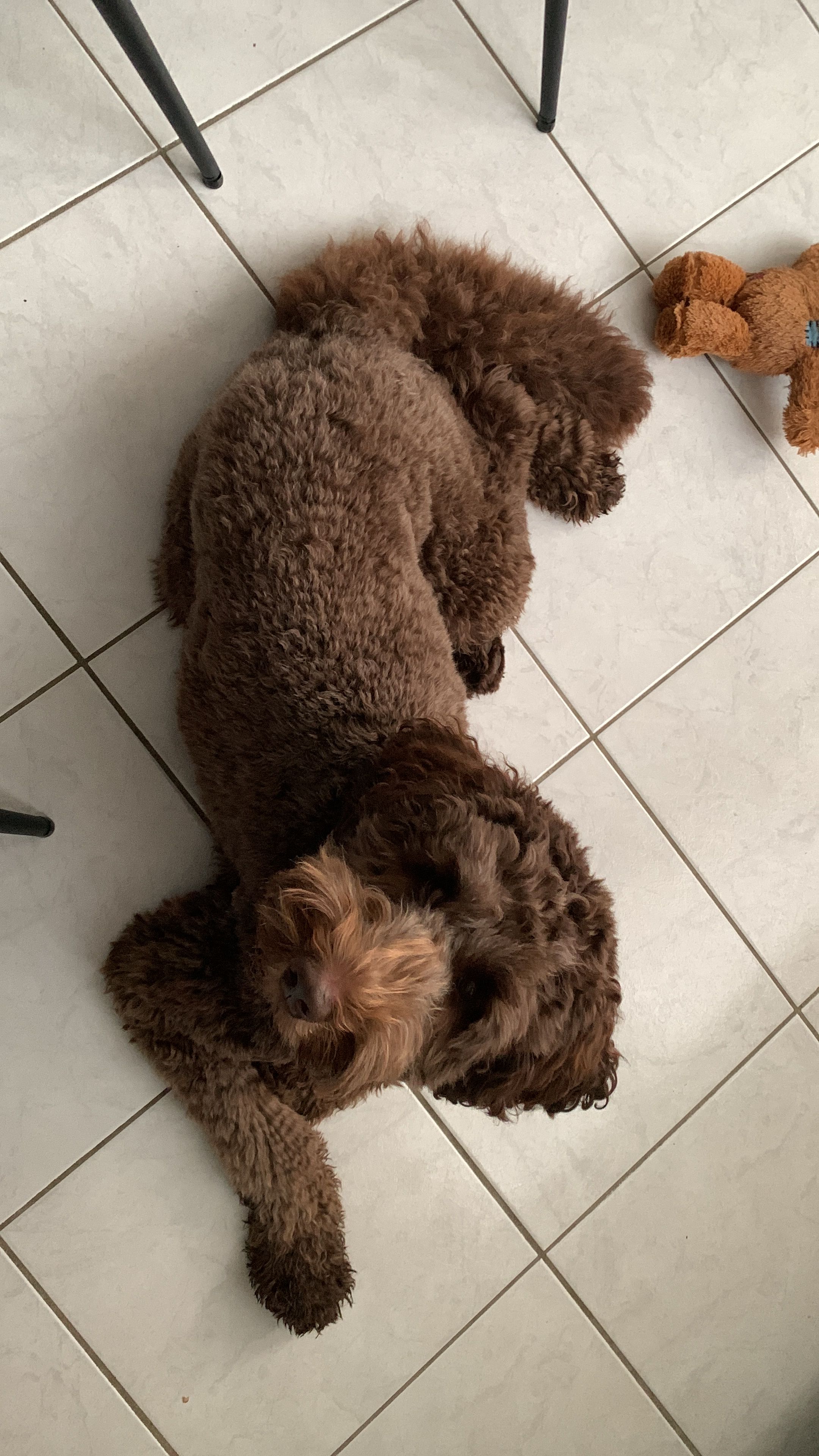 image-11