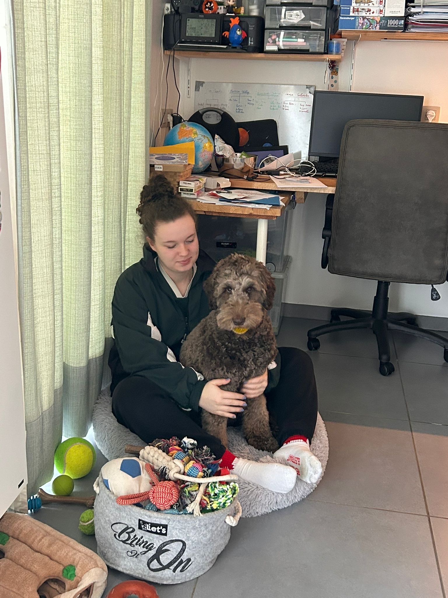 image-12
