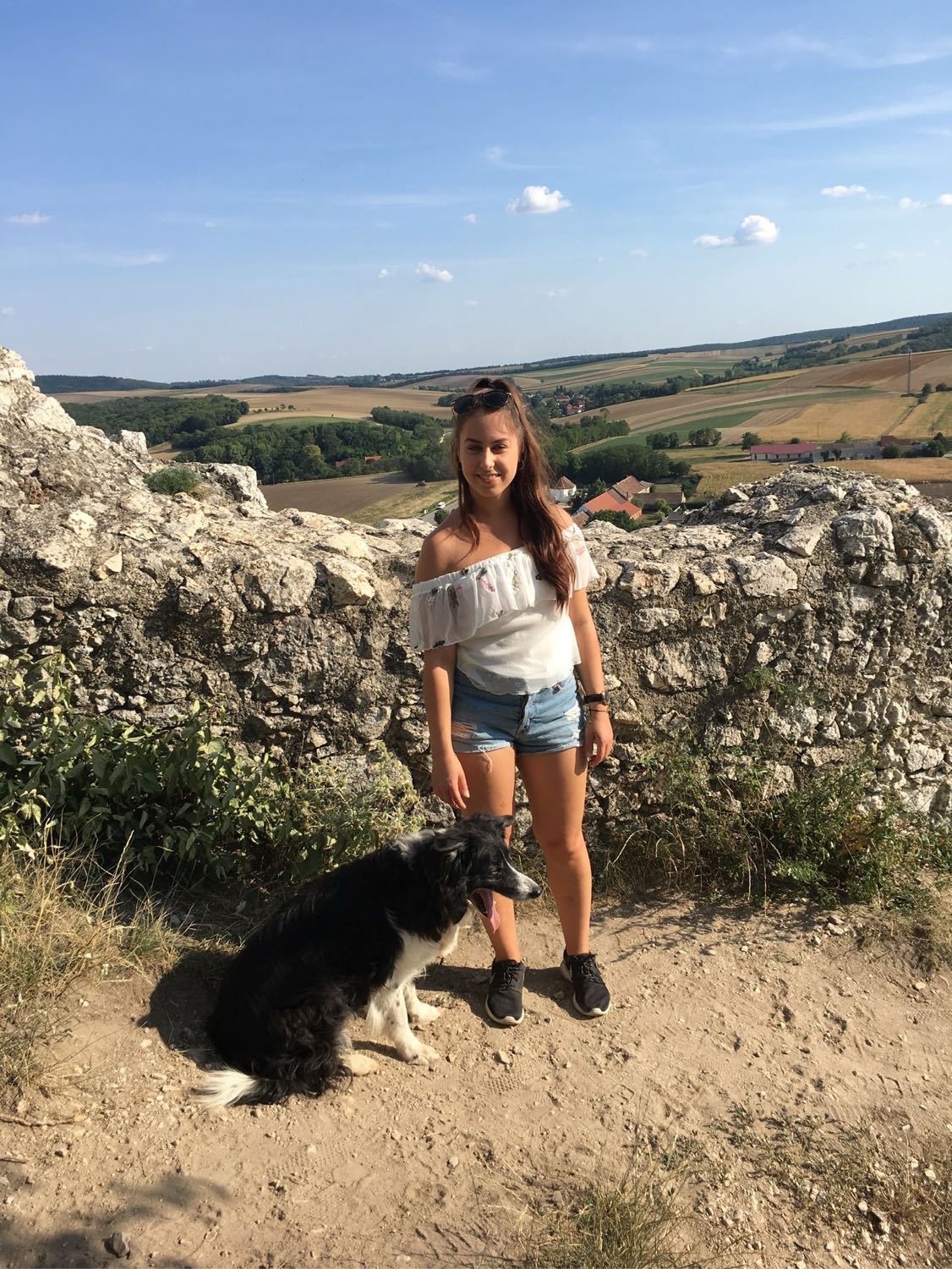 image-6