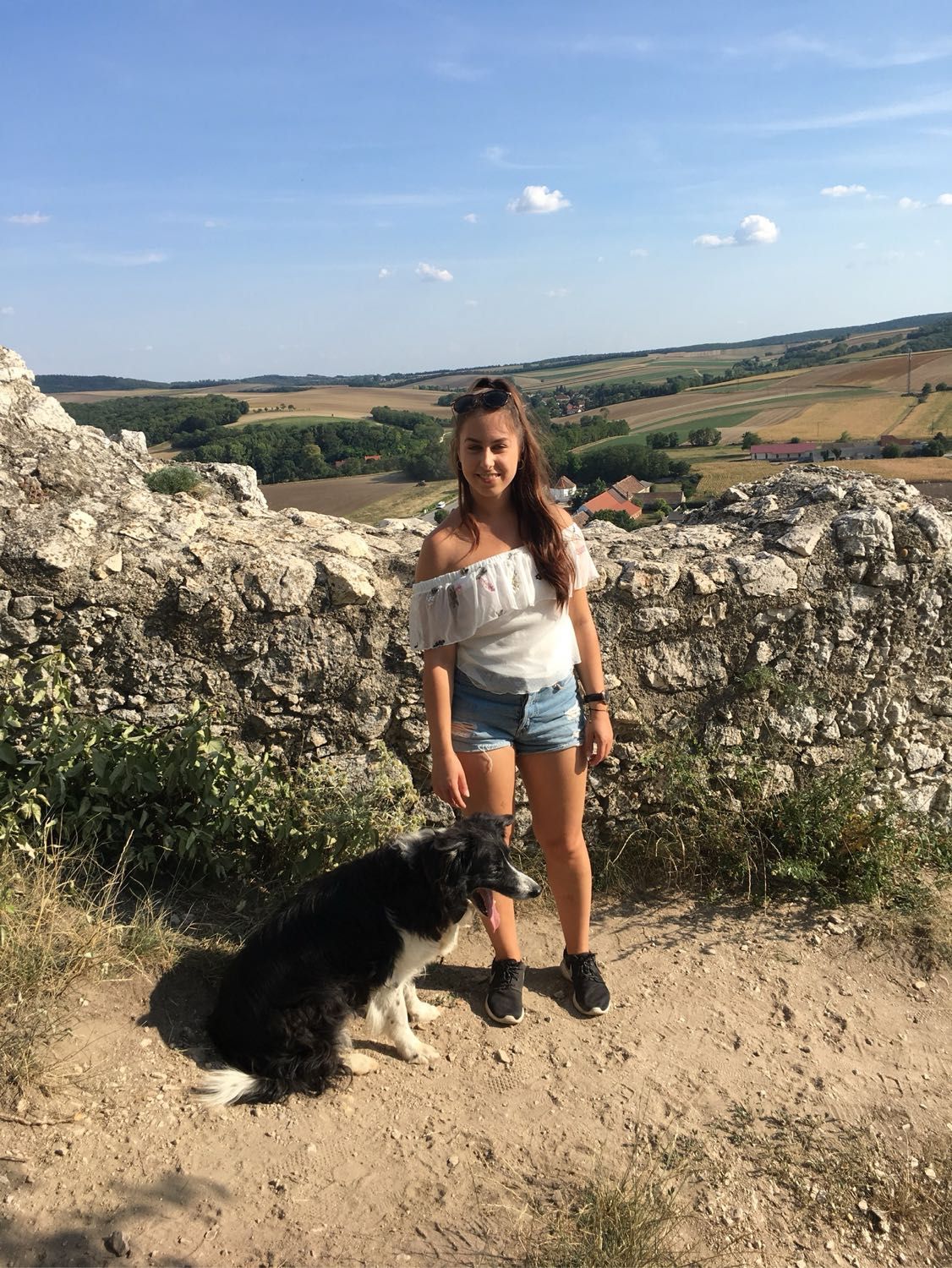 image-6