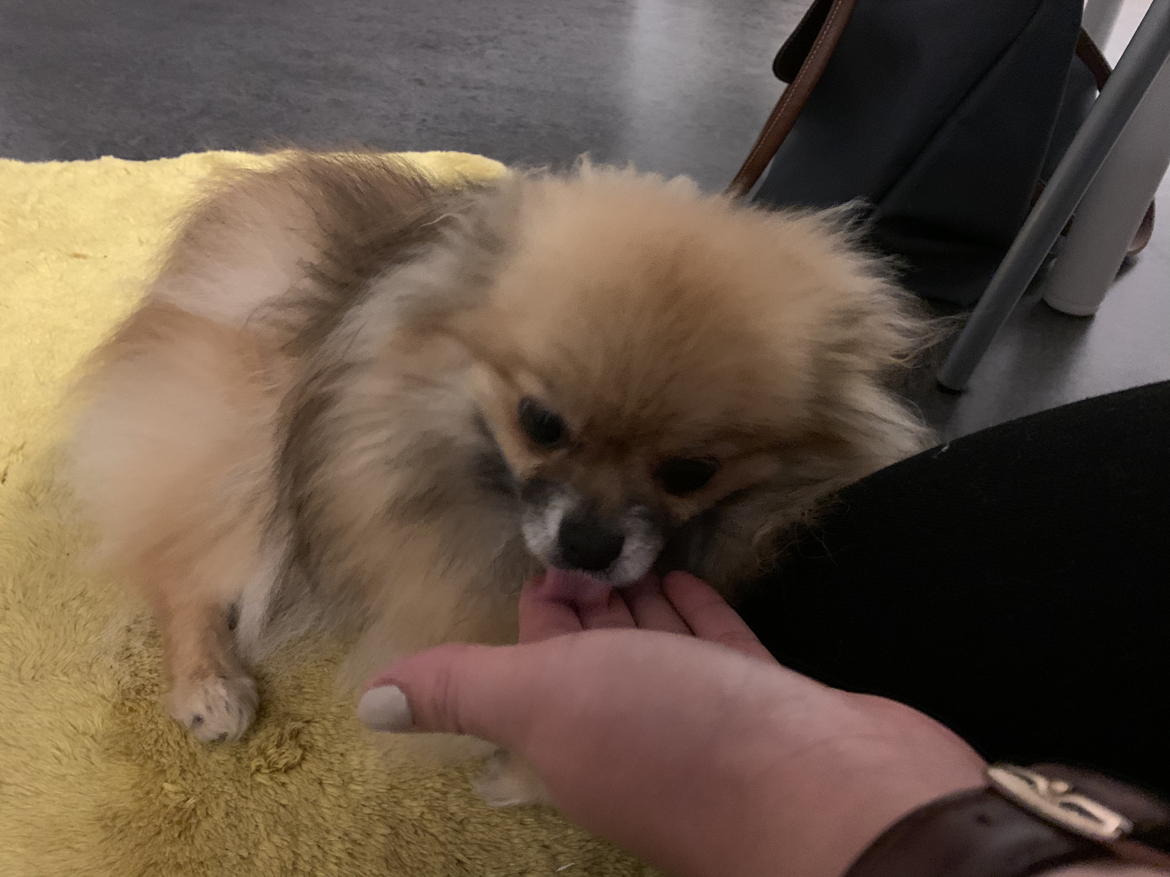 image-7