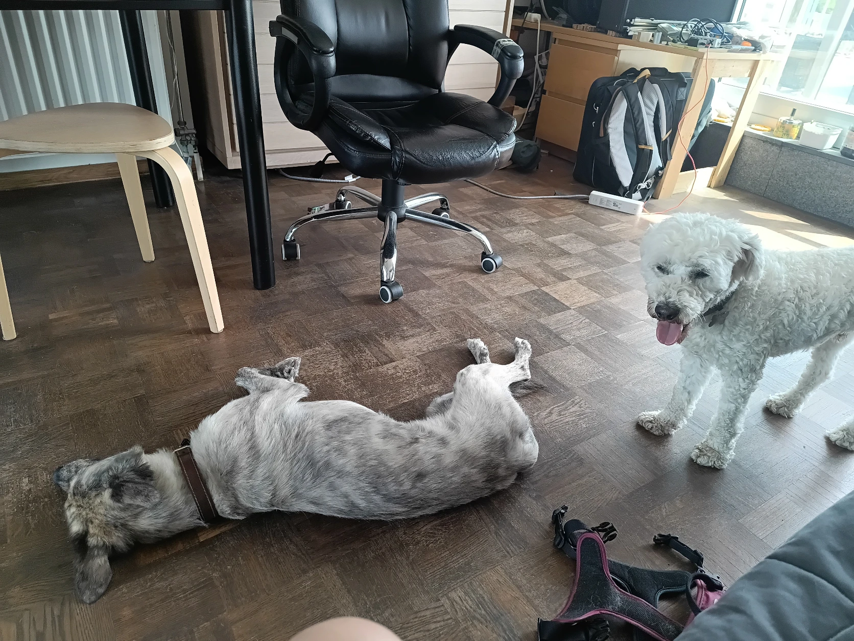 image-34