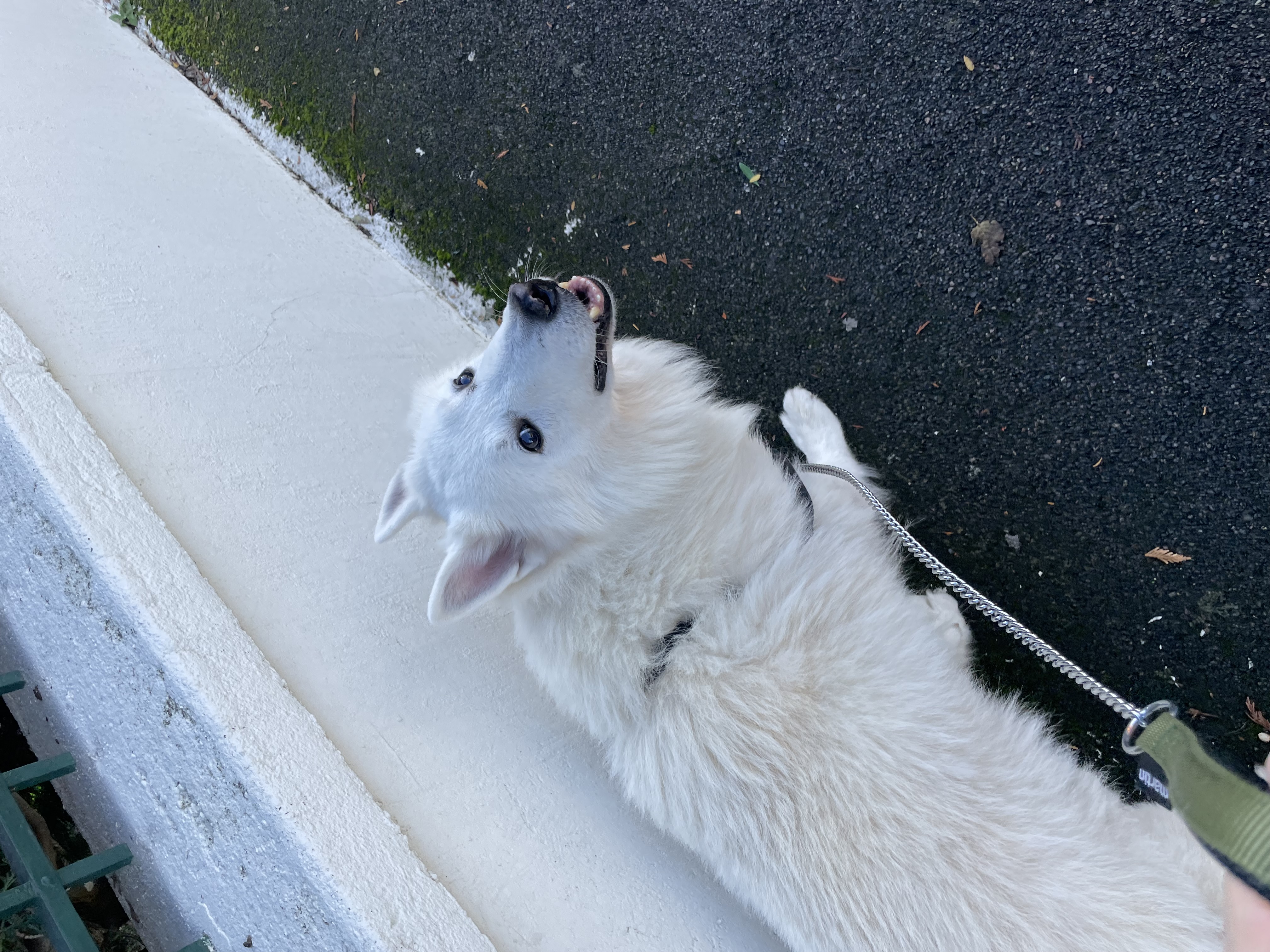 image-9