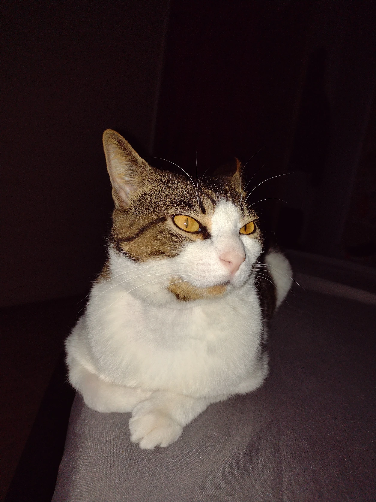image-7