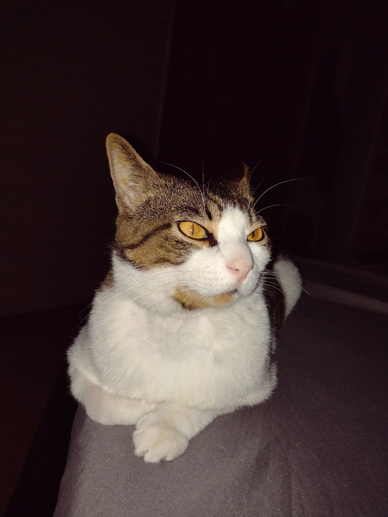 image-7