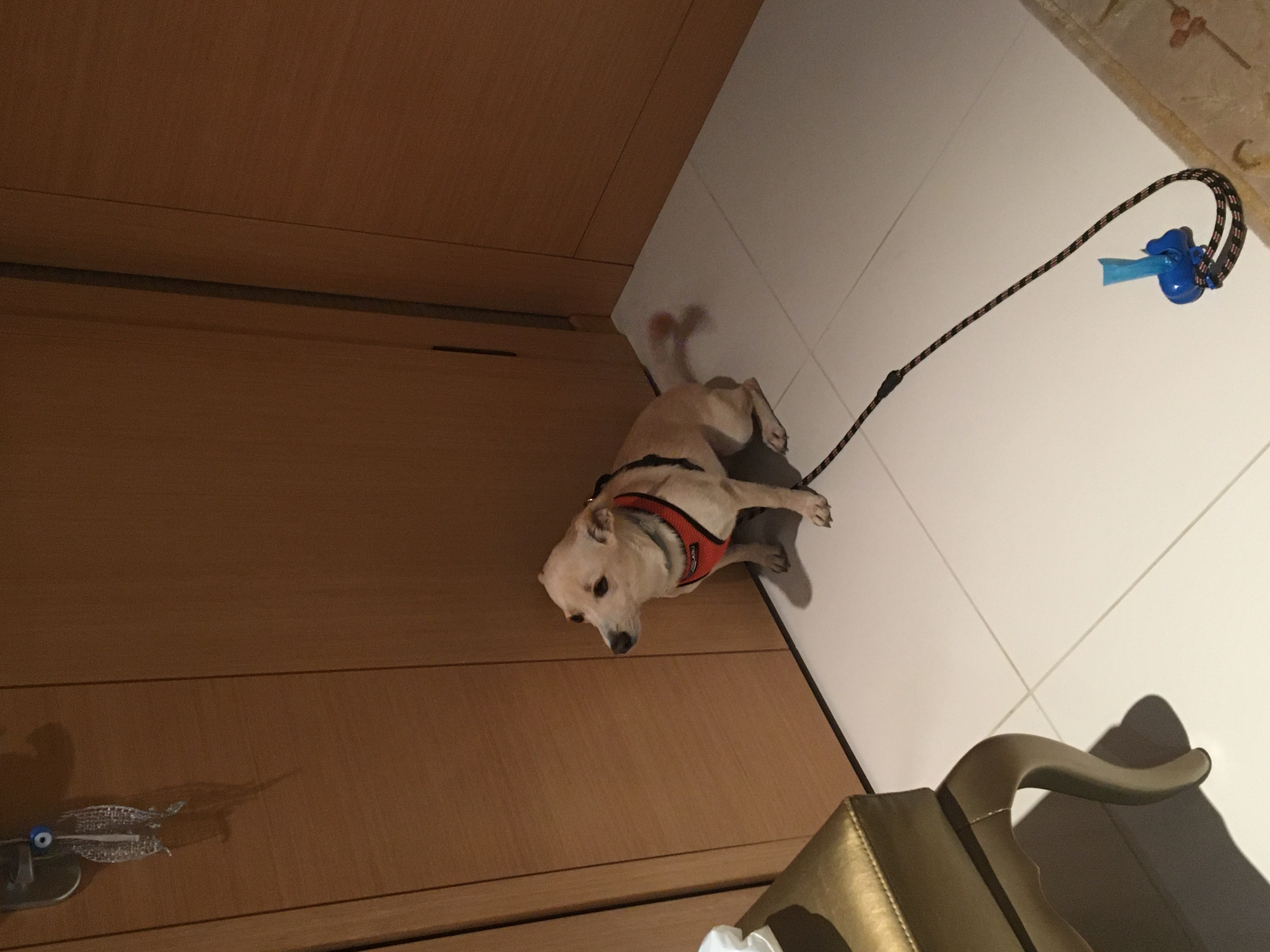 image-10