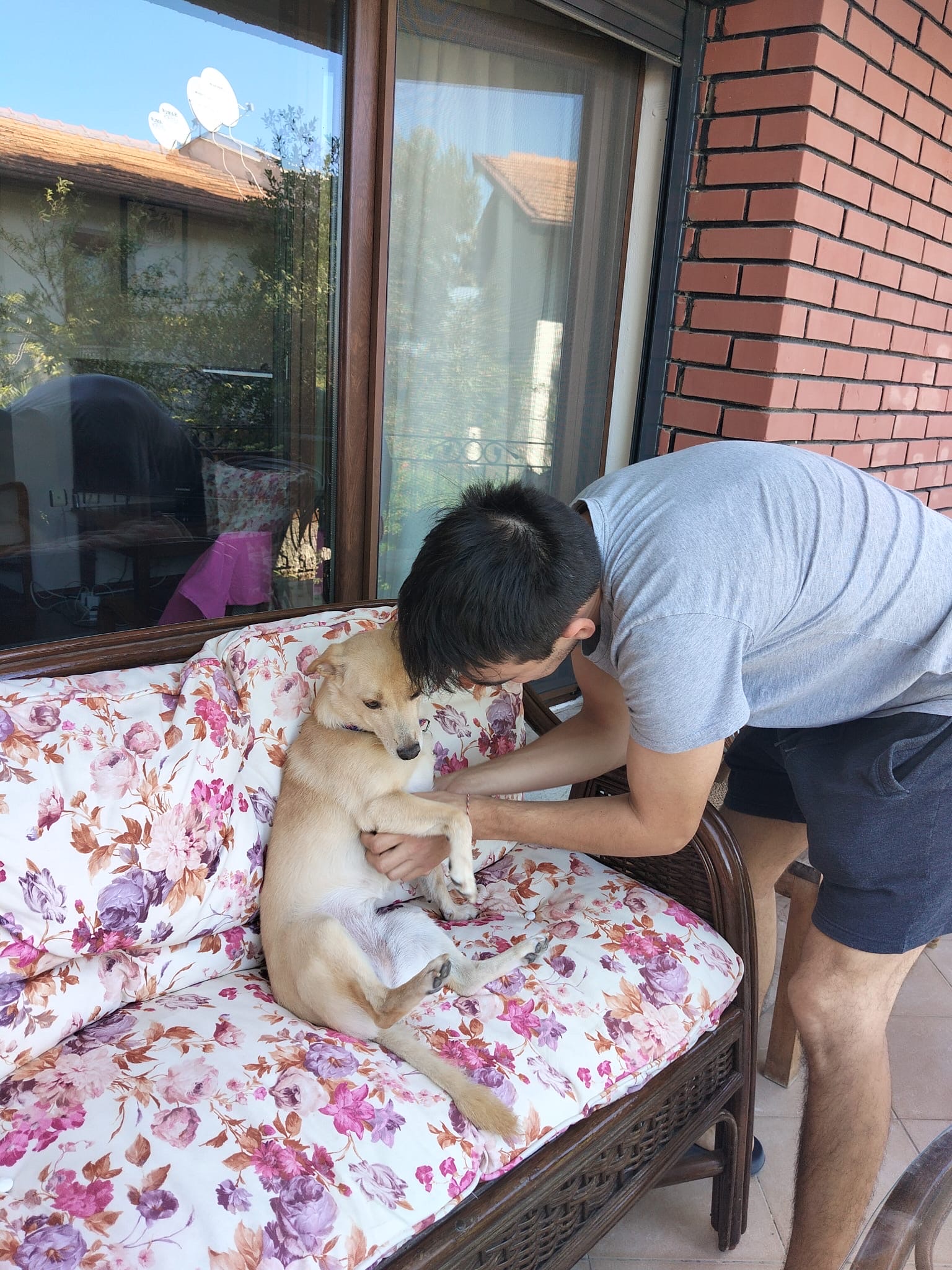 image-8