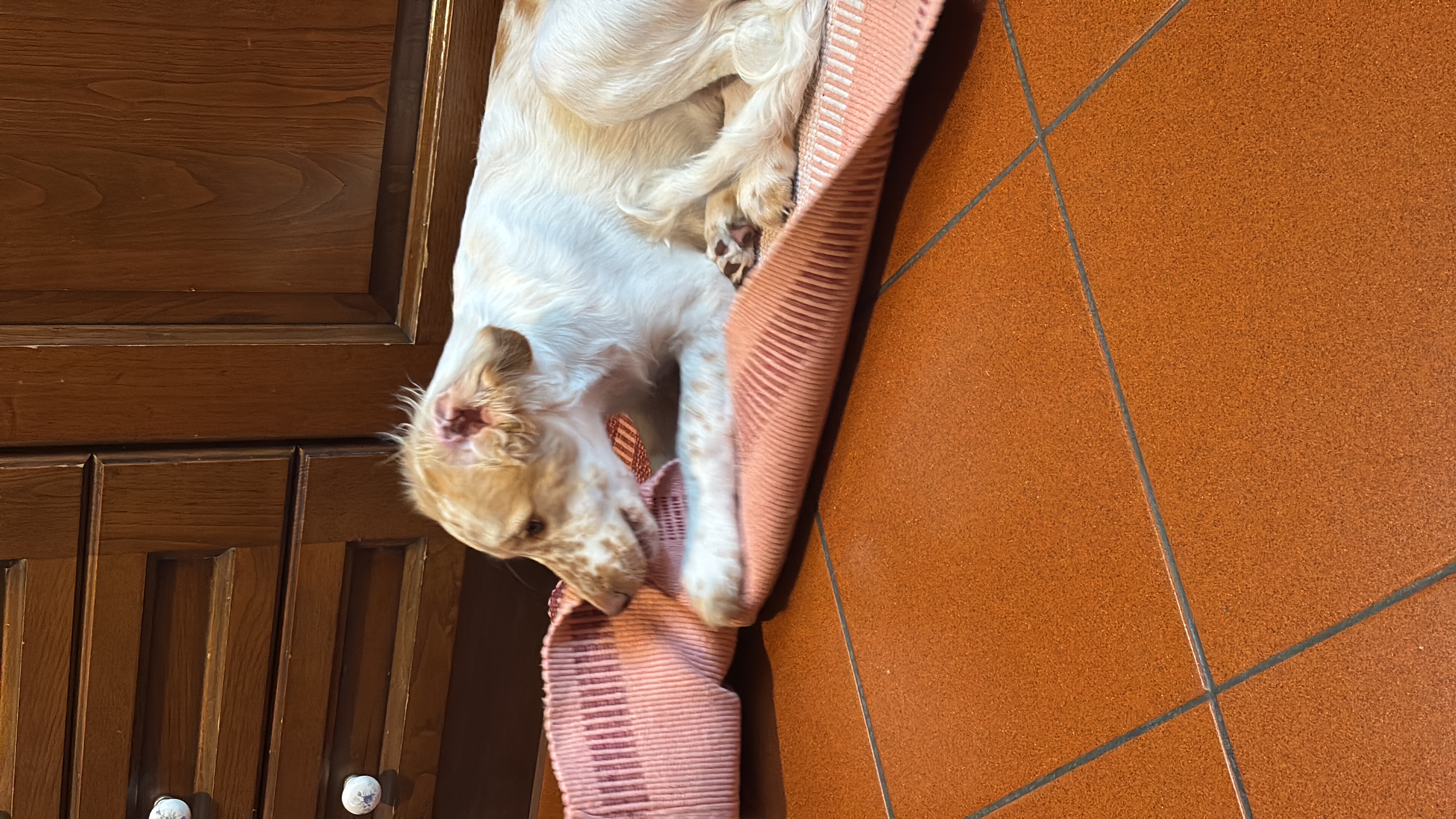 image-20