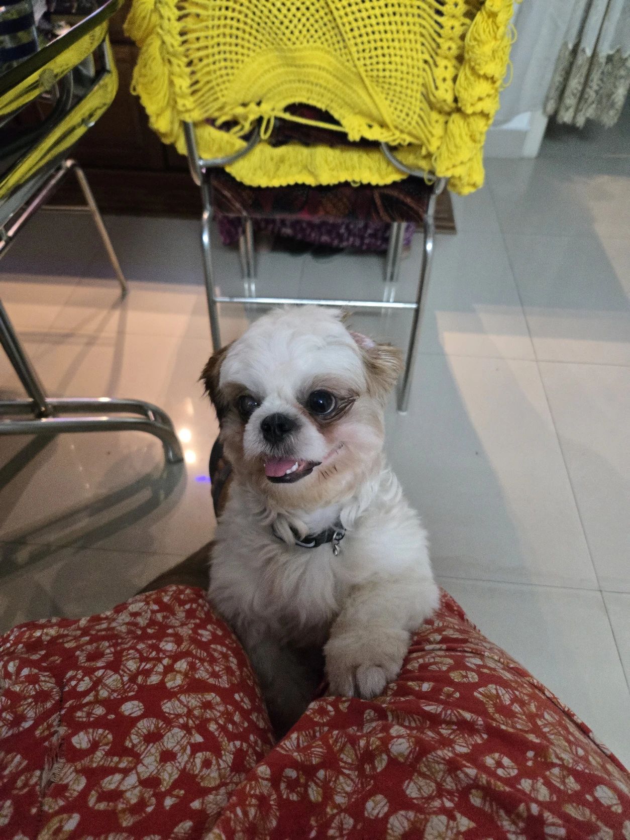 image-4