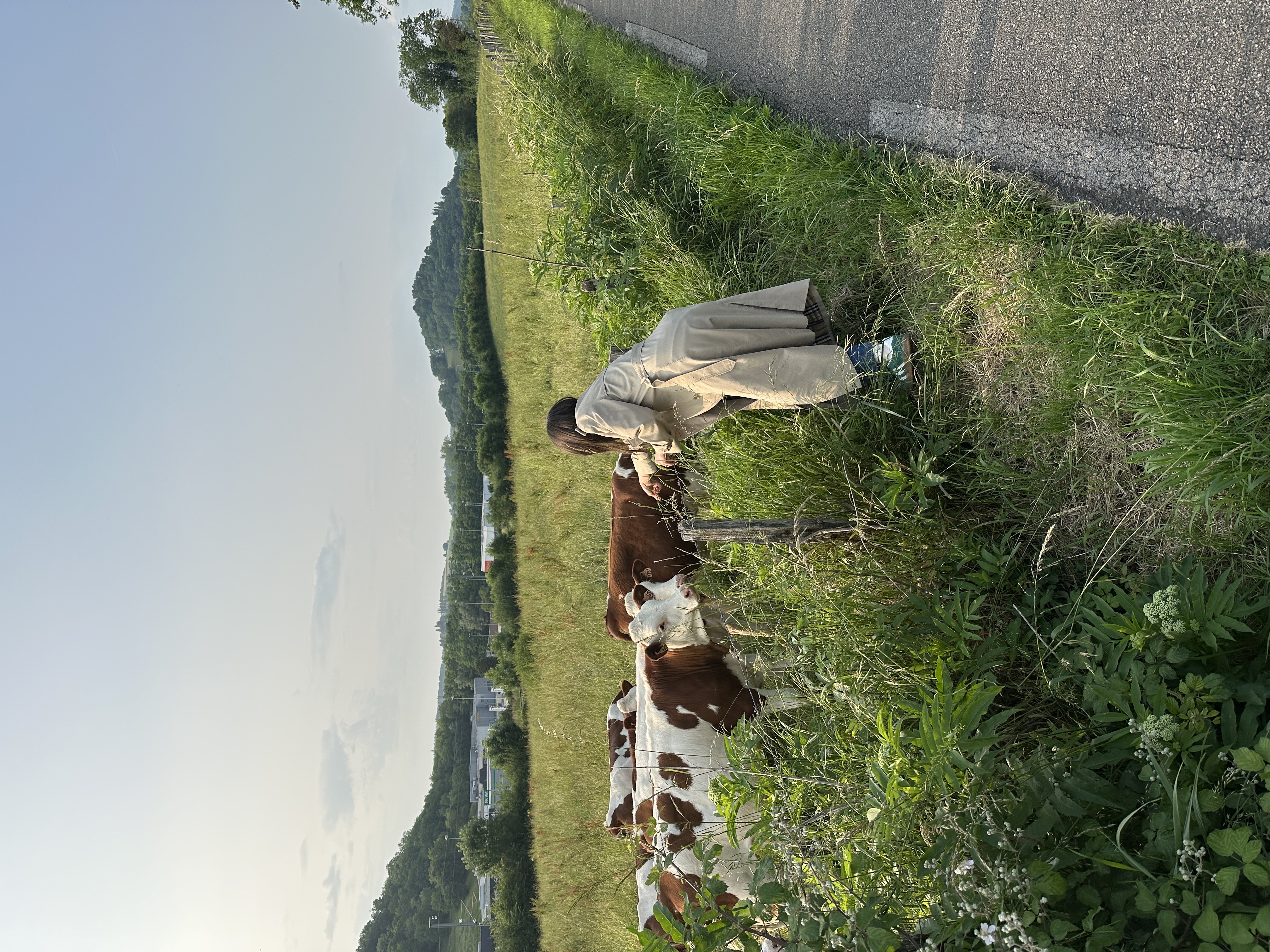 image-5