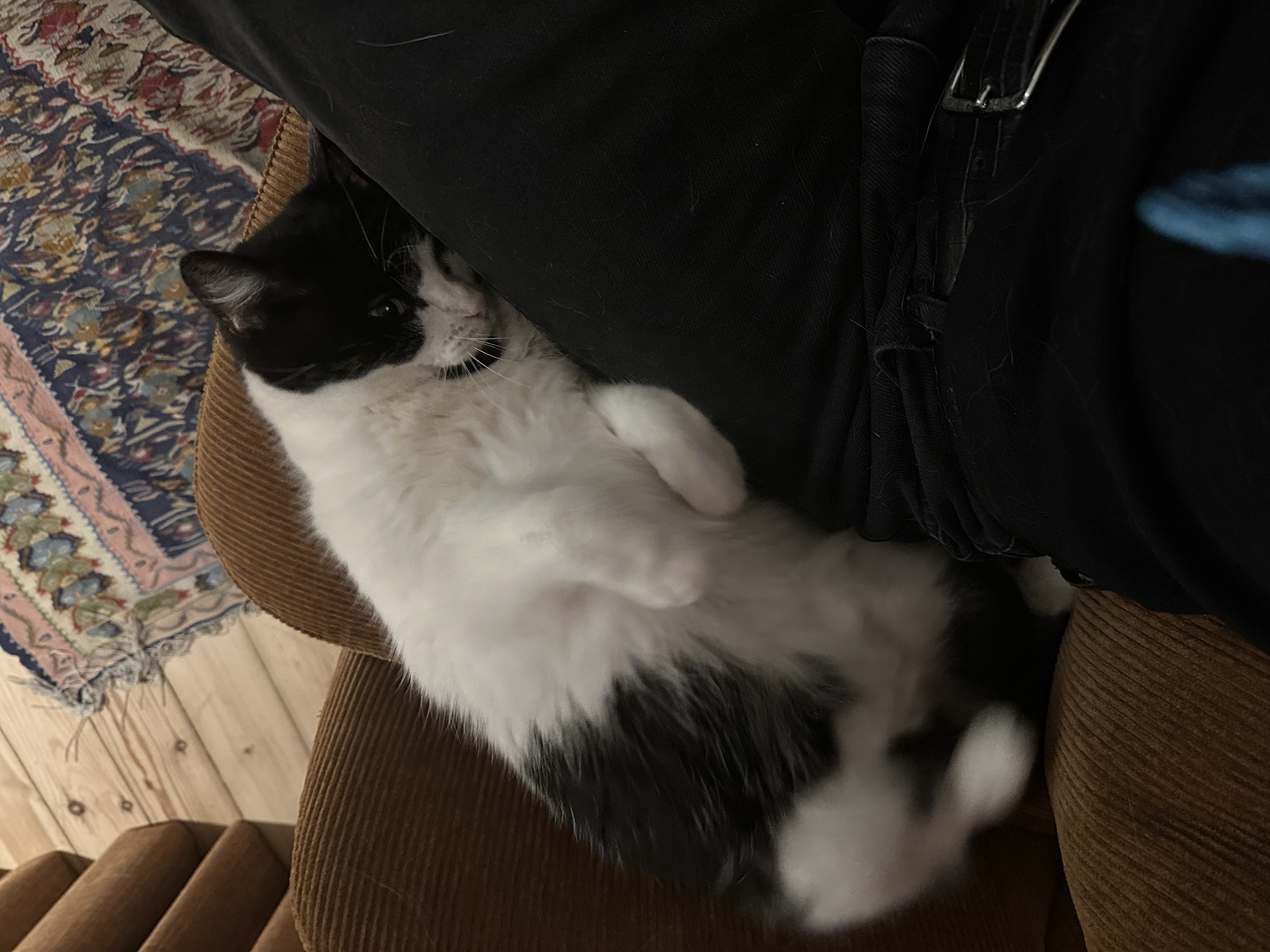 image-8