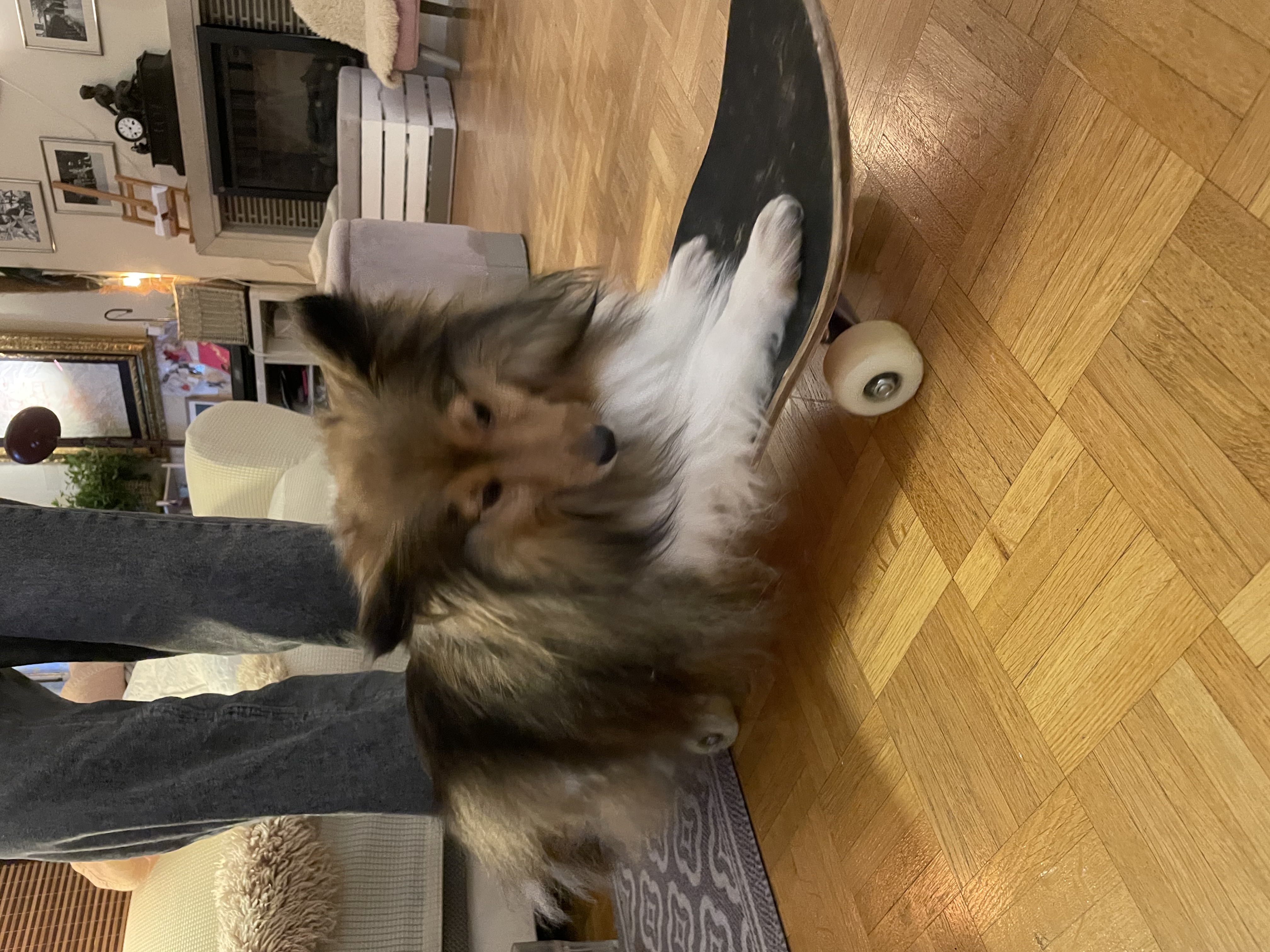 image-9