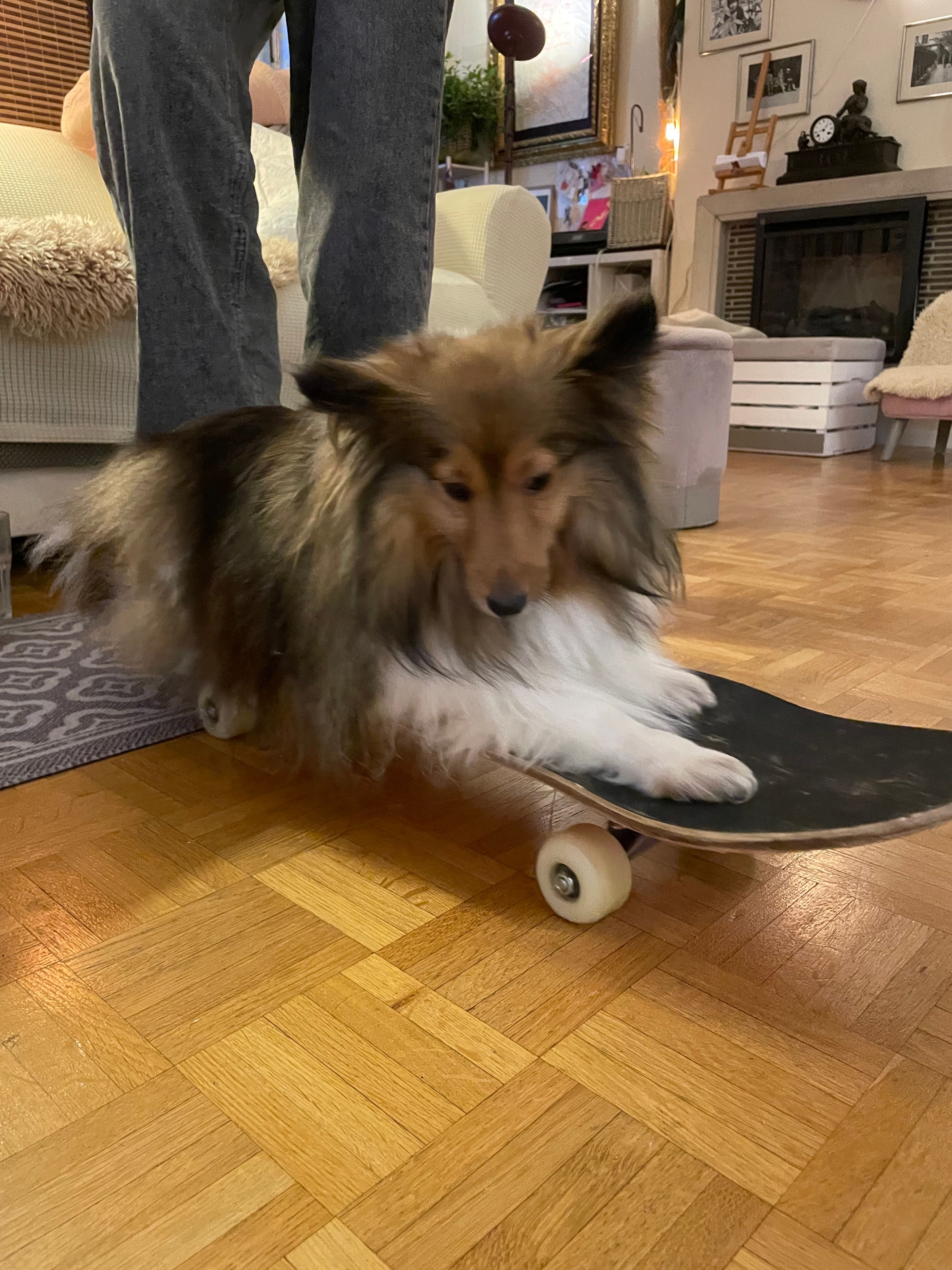 image-9