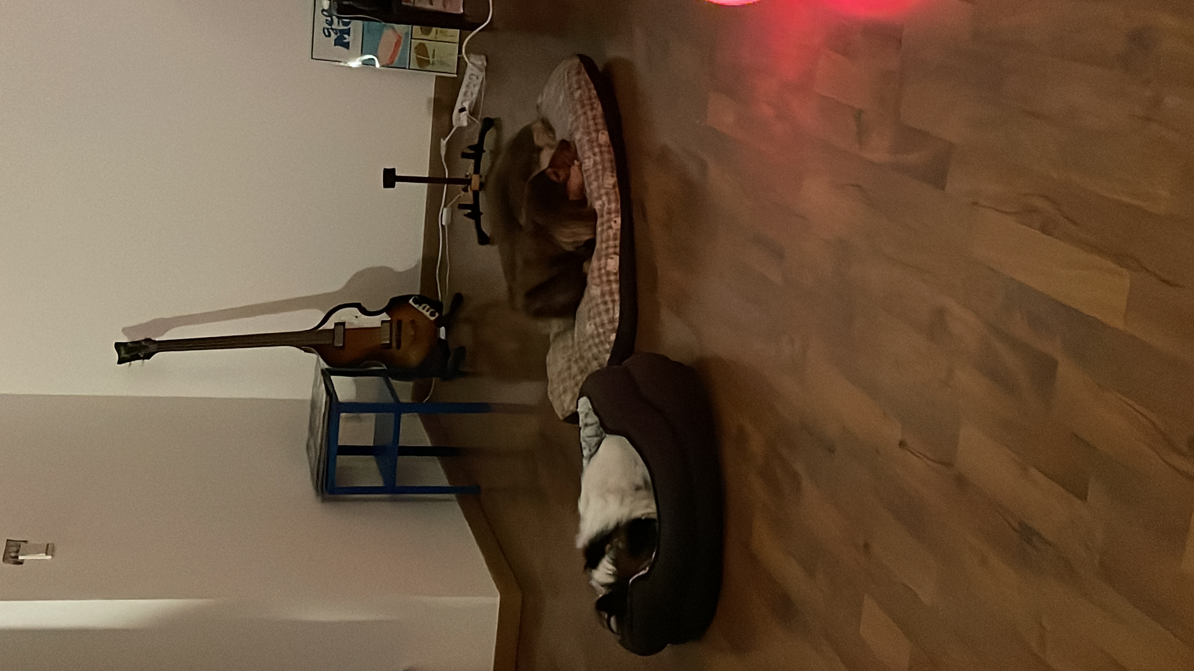image-10